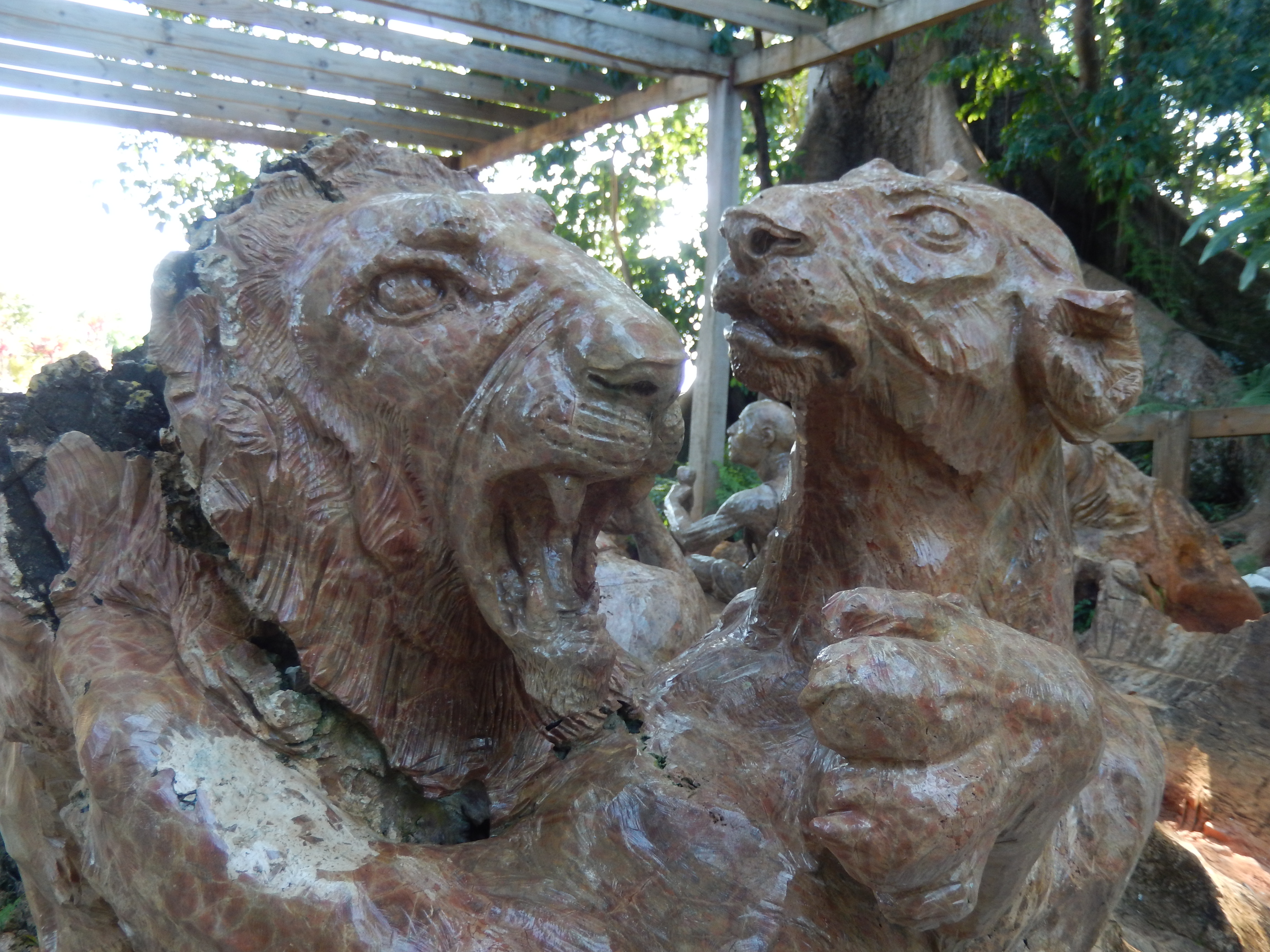 Name:  DSCN7595.JPG
Views: 1079
Size:  3.32 MB