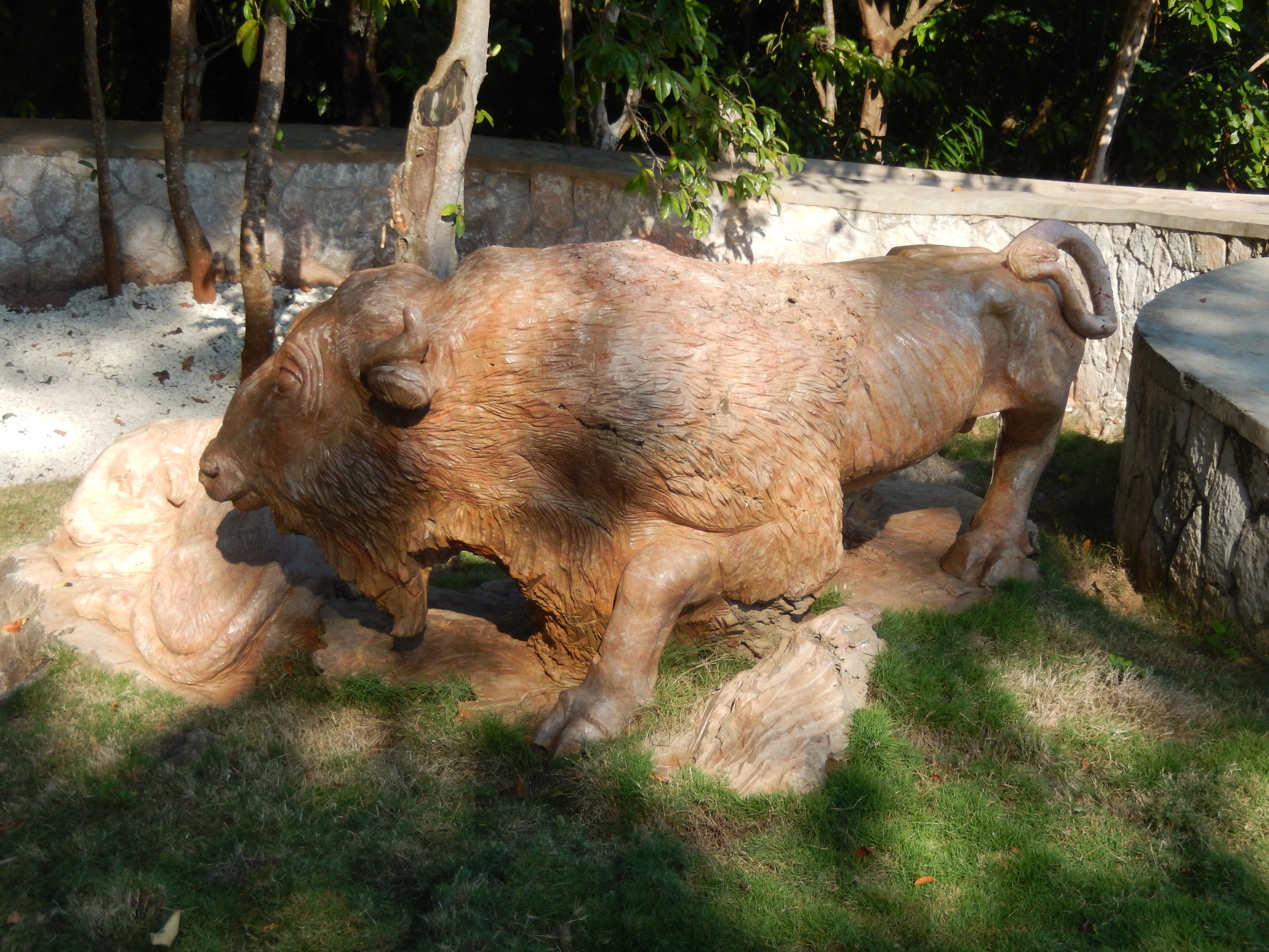 Name:  DSCN7598.JPG
Views: 1107
Size:  3.45 MB