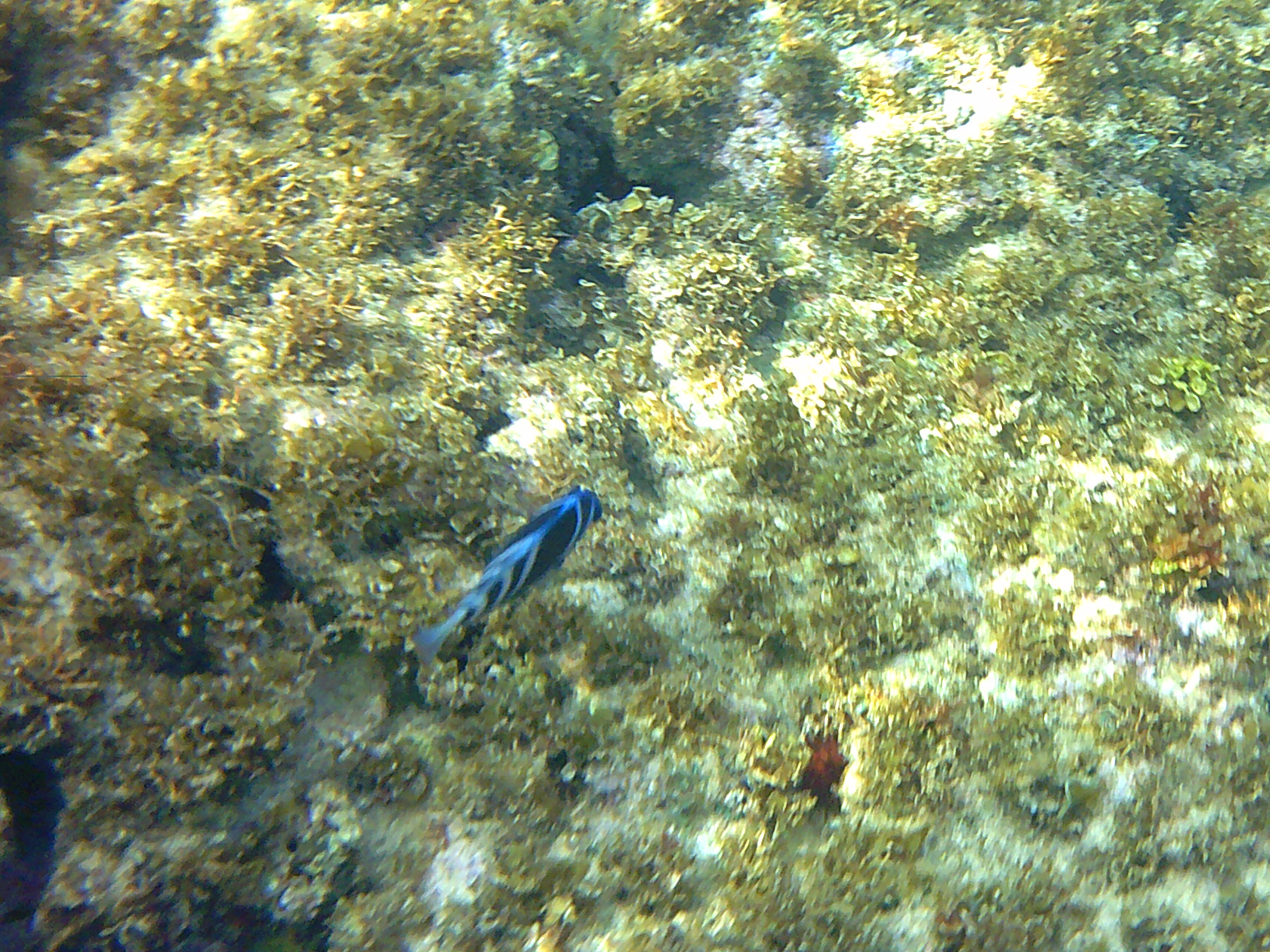 Name:  DSCF0153.JPG
Views: 896
Size:  2.89 MB
