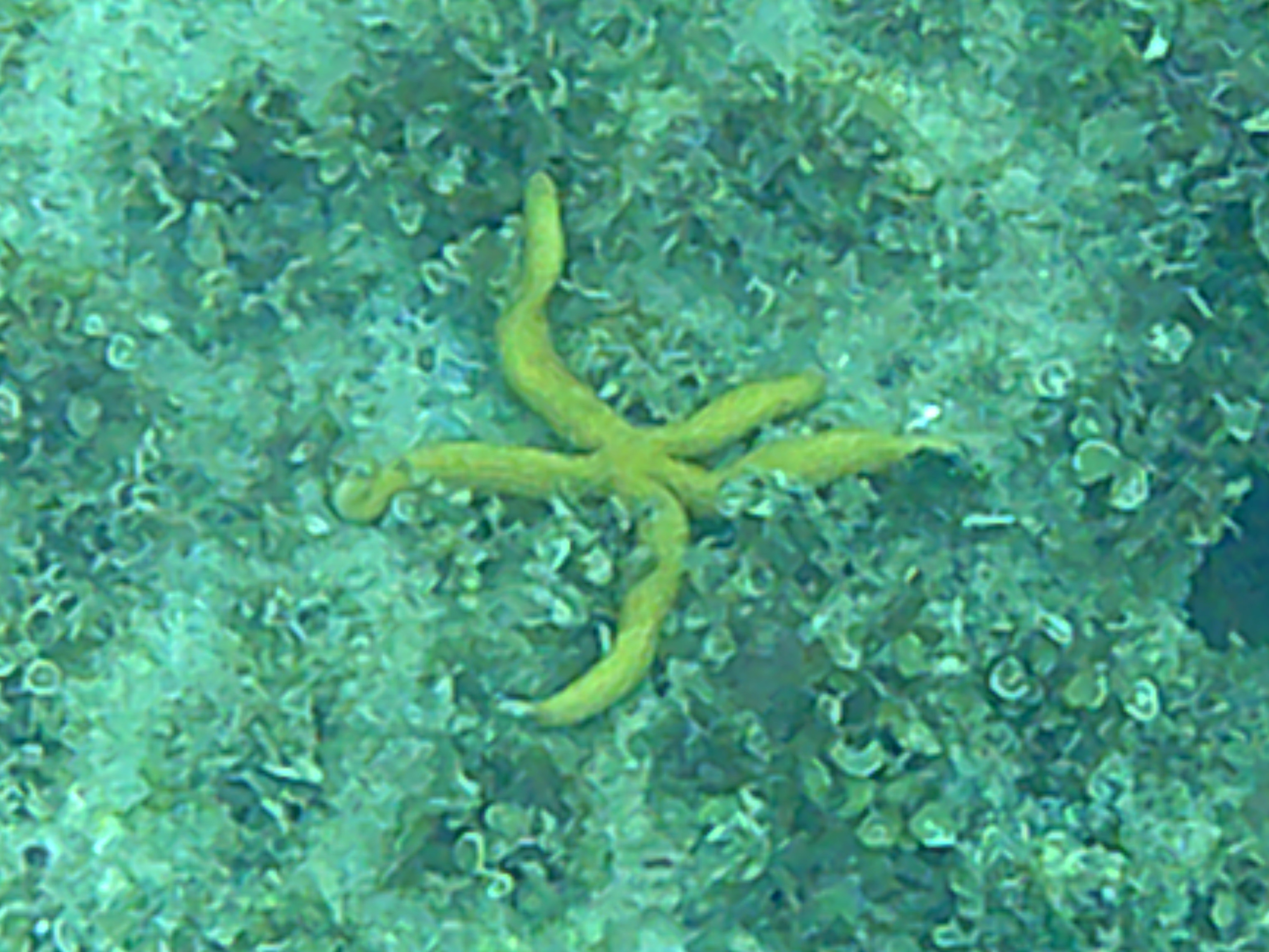 Name:  DSCF0173.JPG
Views: 1005
Size:  1.60 MB