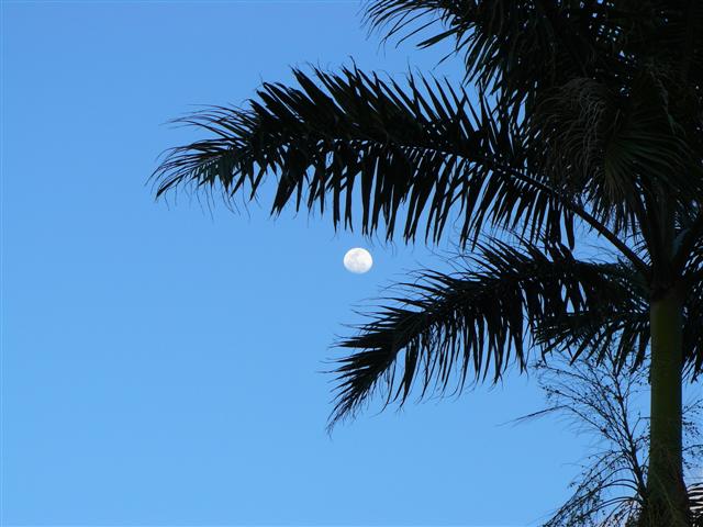 Name:  Jam11 564 (Small).jpg
Views: 165
Size:  54.0 KB