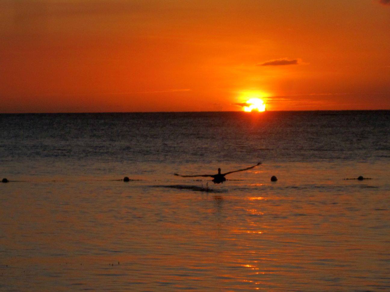 Name:  aaaaaaaaasunset5.jpg
Views: 936
Size:  94.2 KB