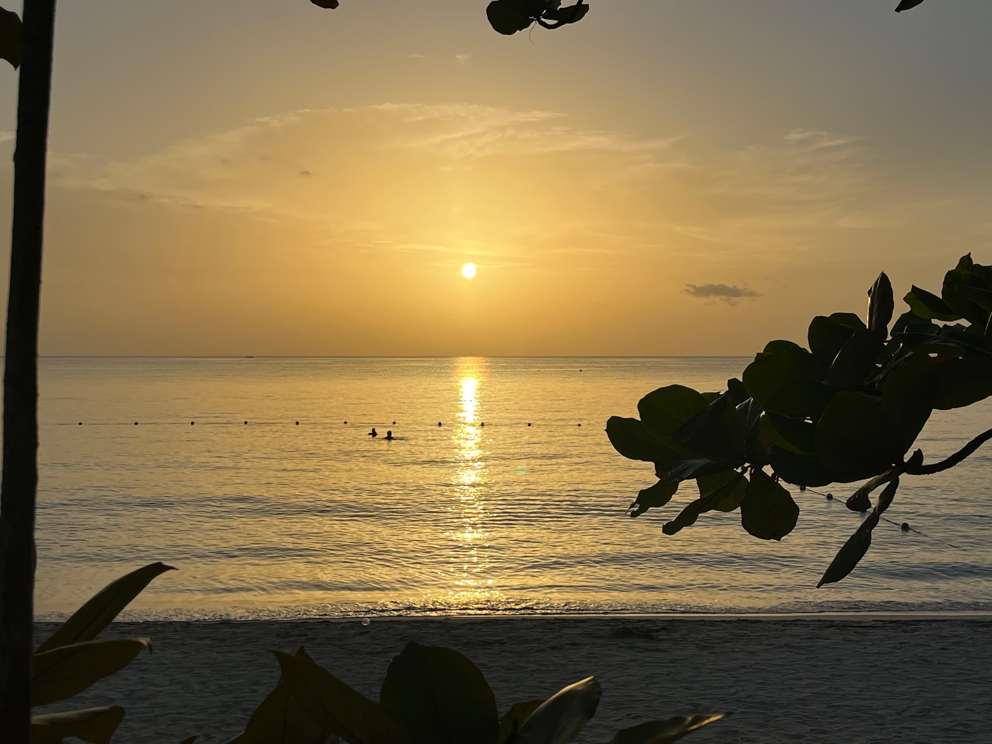 Name:  Another Sunset.jpg
Views: 830
Size:  711.6 KB