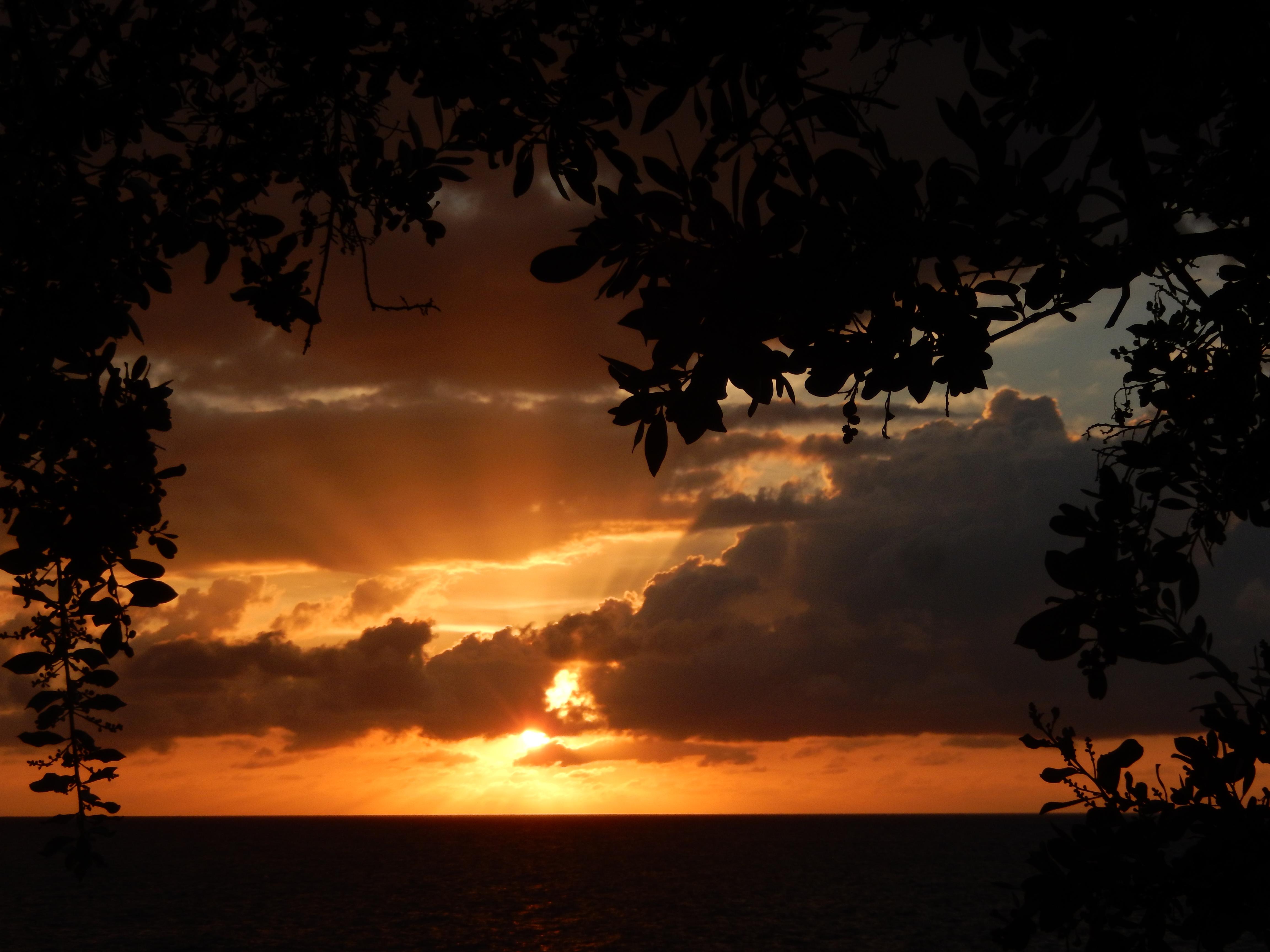 Name:  image (5).jpg
Views: 399
Size:  674.3 KB