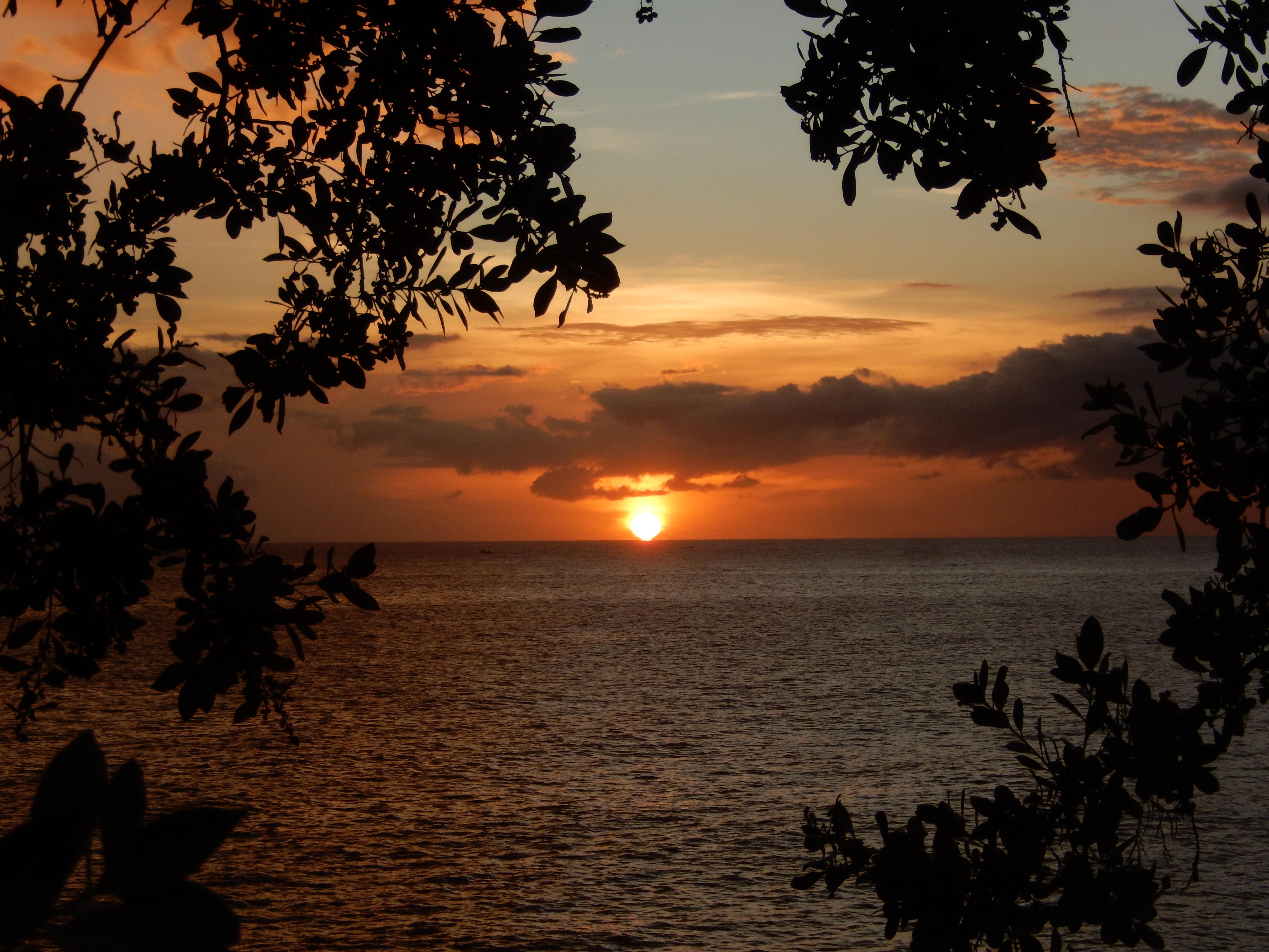 Name:  image (5).jpg
Views: 529
Size:  1.32 MB