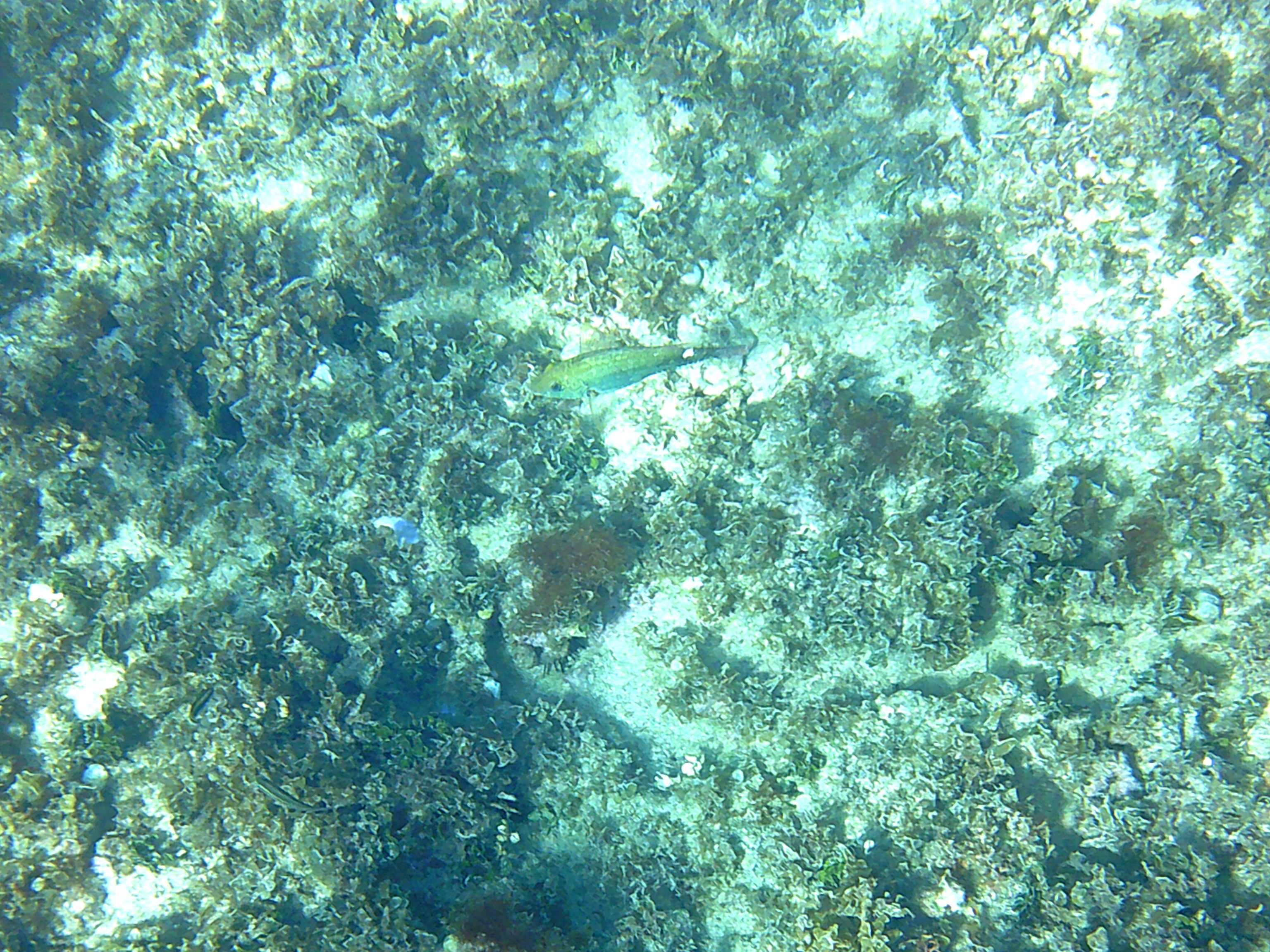 Name:  DSCF0076.JPG
Views: 935
Size:  3.05 MB