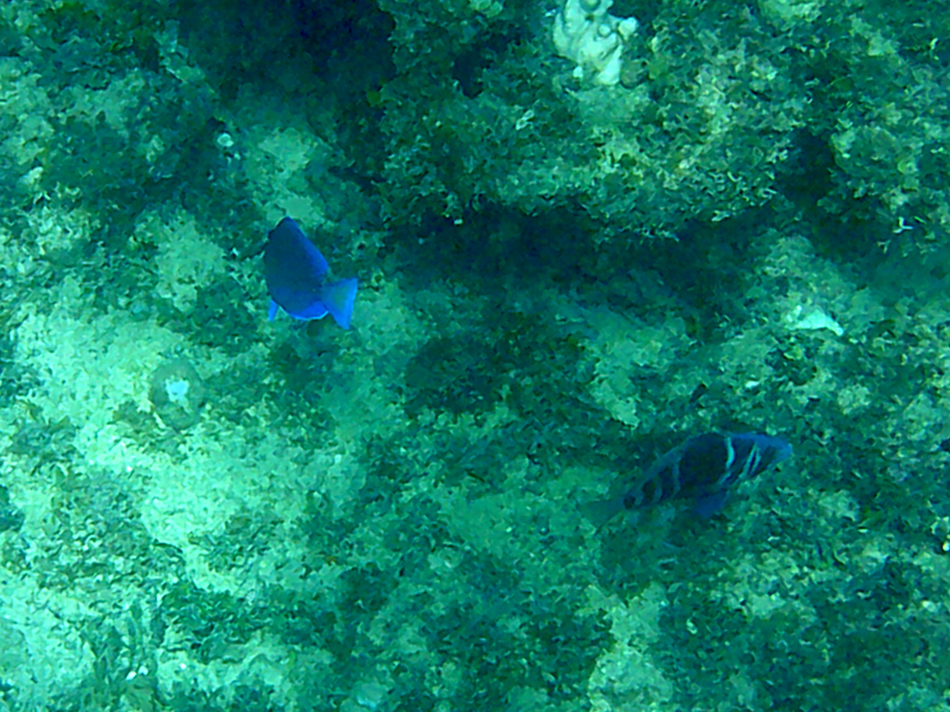 Name:  DSCF0097.JPG
Views: 891
Size:  2.17 MB