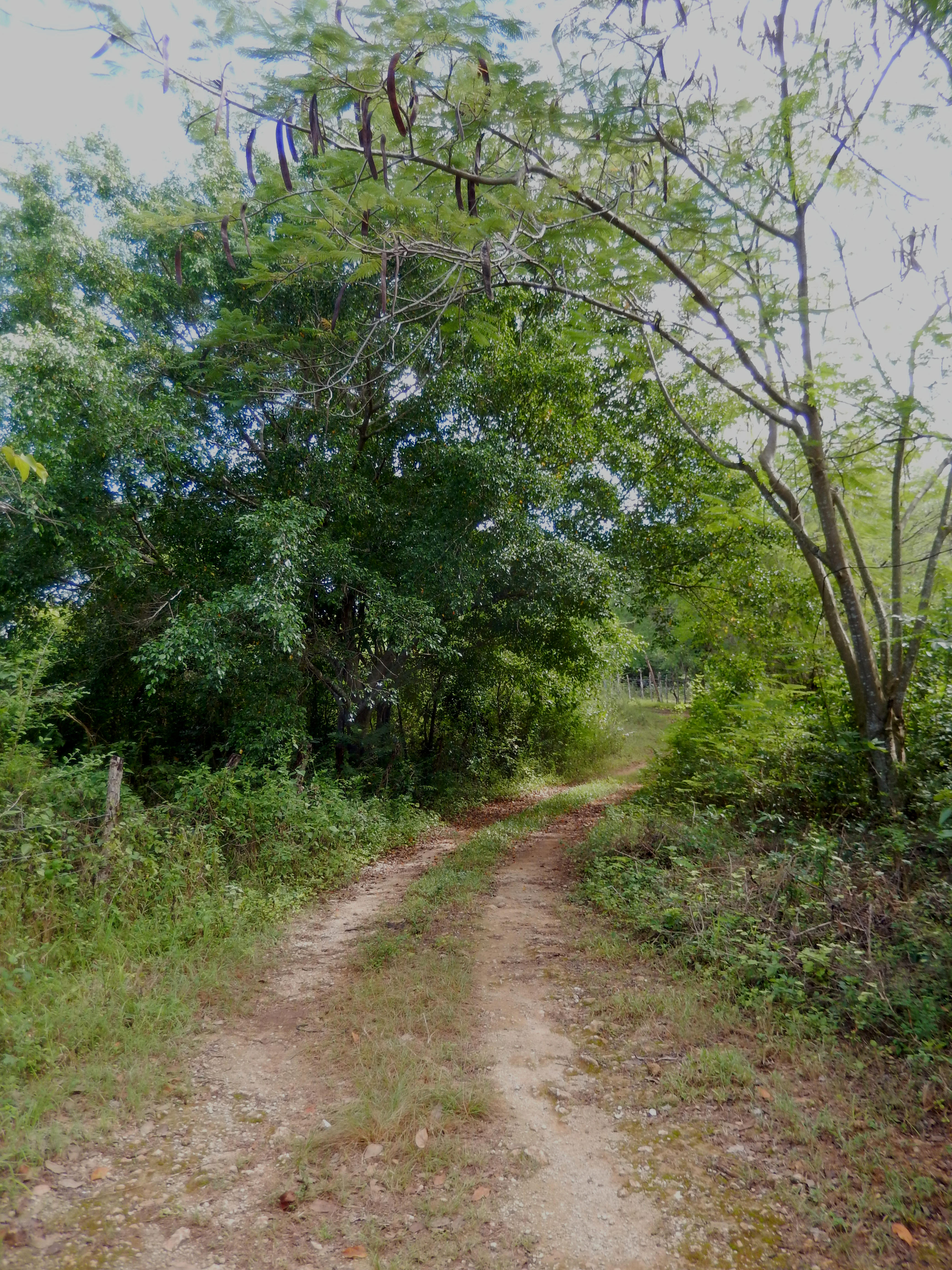 Name:  DSCN9870.jpg
Views: 1134
Size:  2.84 MB