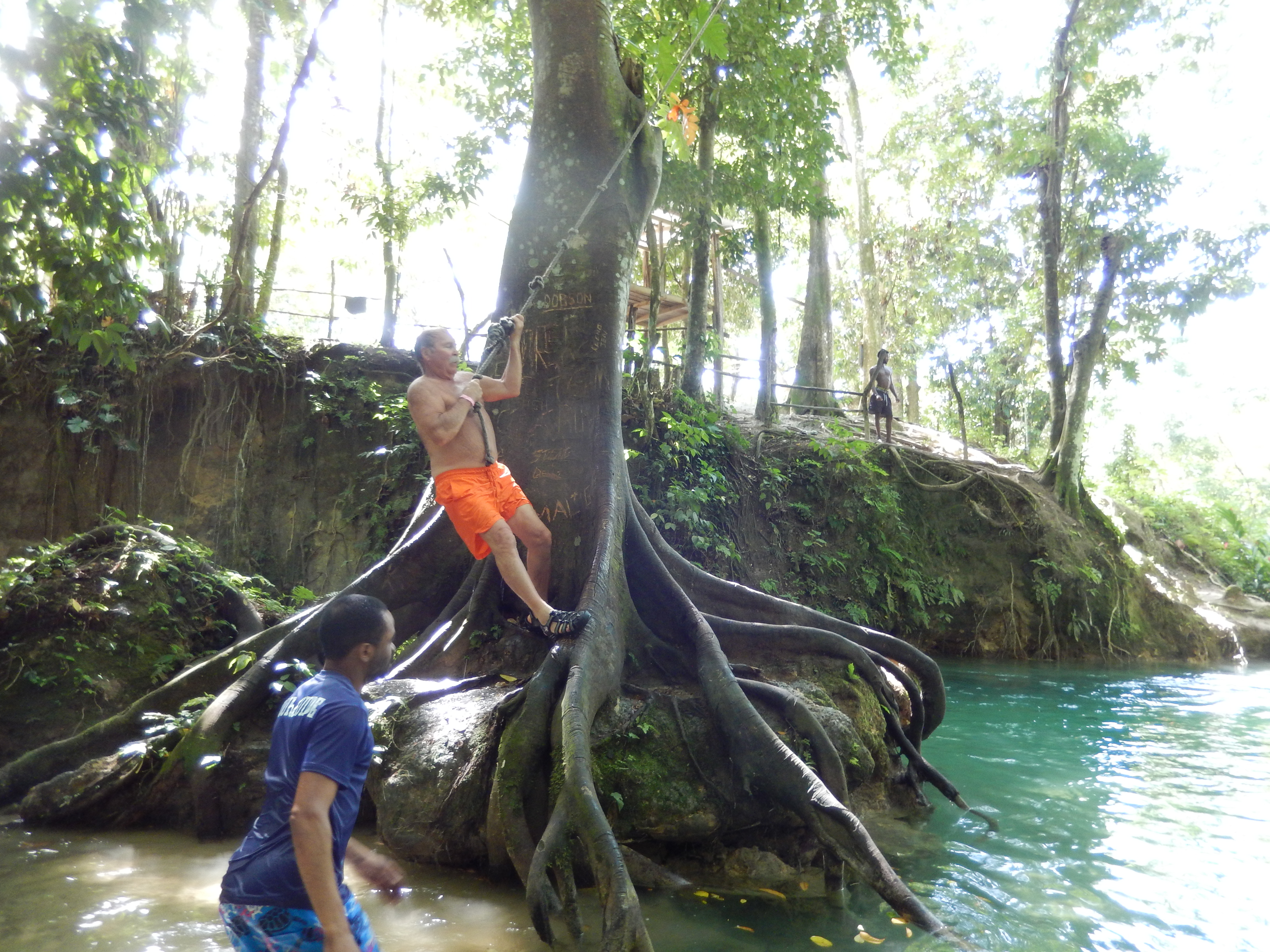 Name:  DSCN9788.JPG
Views: 1196
Size:  3.51 MB