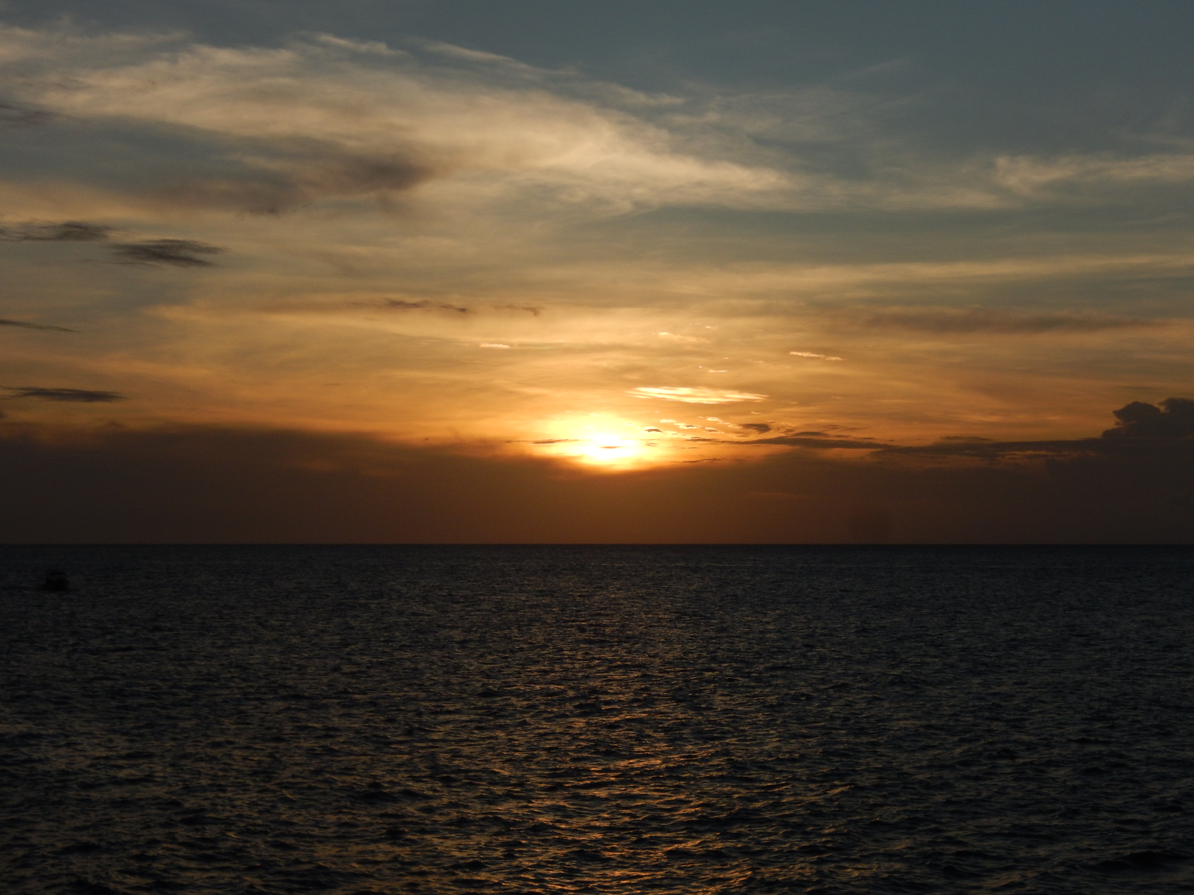 Name:  DSCN5798.JPG
Views: 428
Size:  3.26 MB