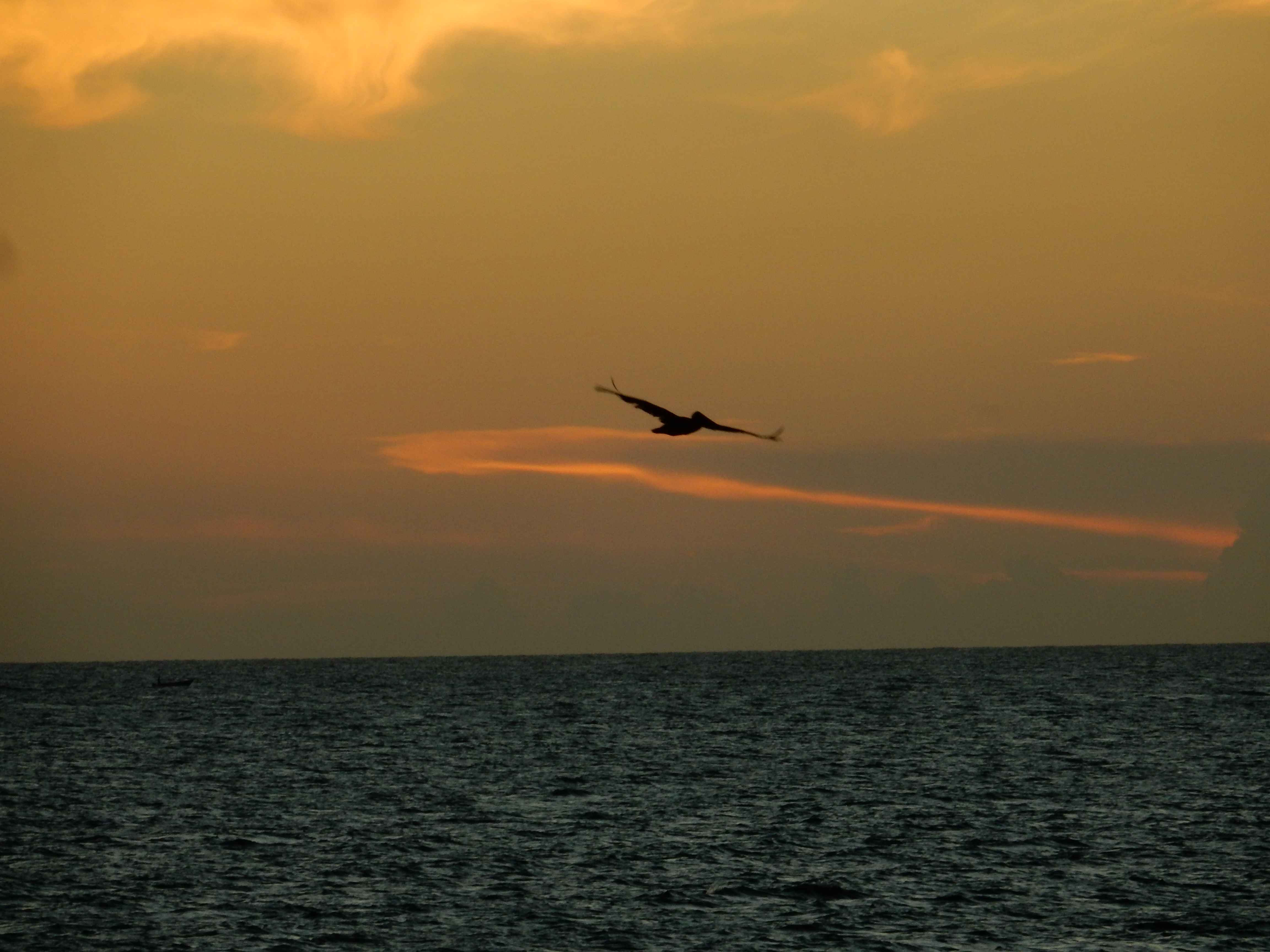 Name:  DSCN7294.JPG
Views: 294
Size:  3.06 MB
