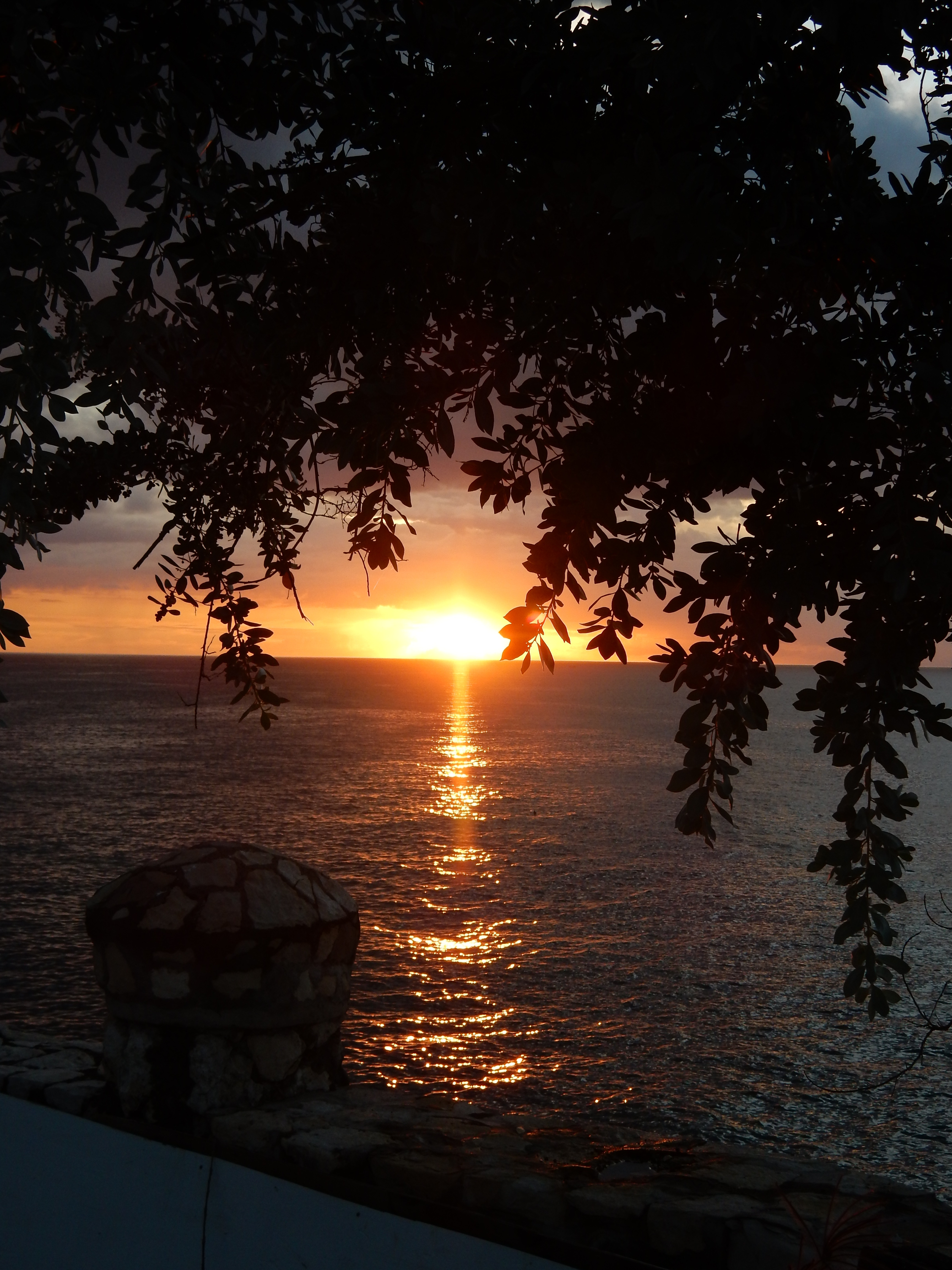 Name:  DSCN7260.JPG
Views: 526
Size:  2.46 MB