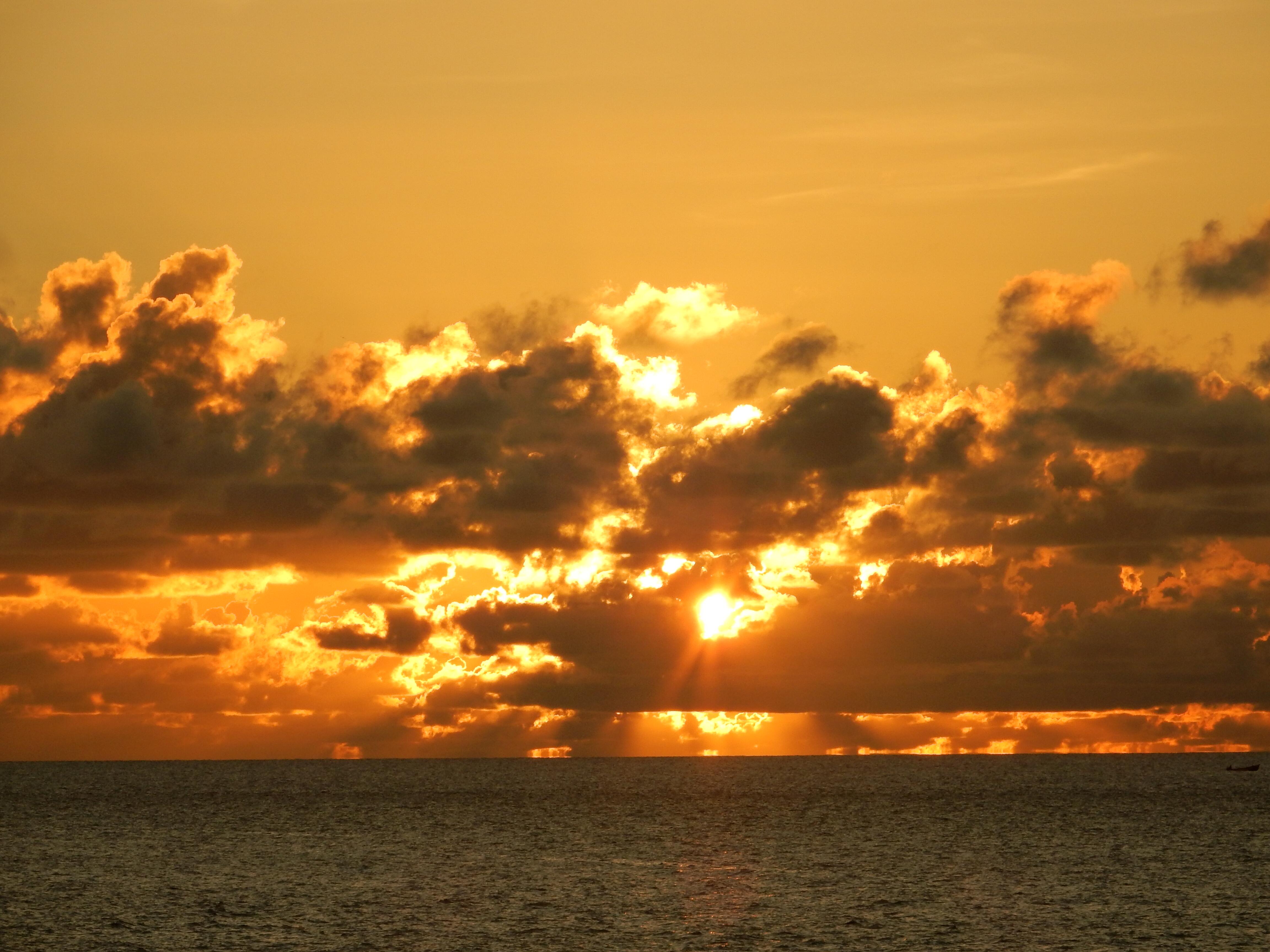 Name:  image.jpg
Views: 443
Size:  1,013.8 KB
