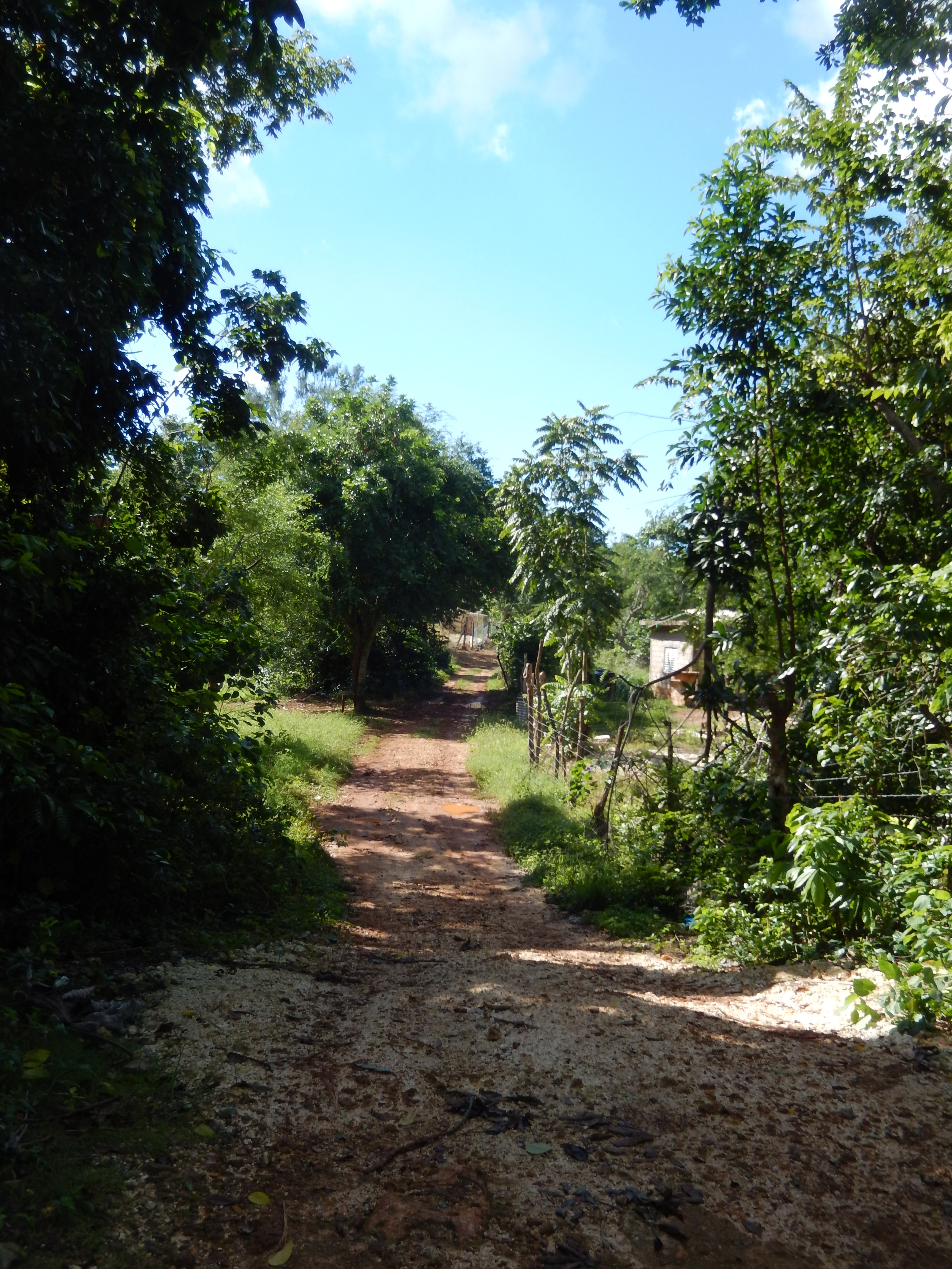 Name:  DSCN6048.JPG
Views: 488
Size:  9.45 MB