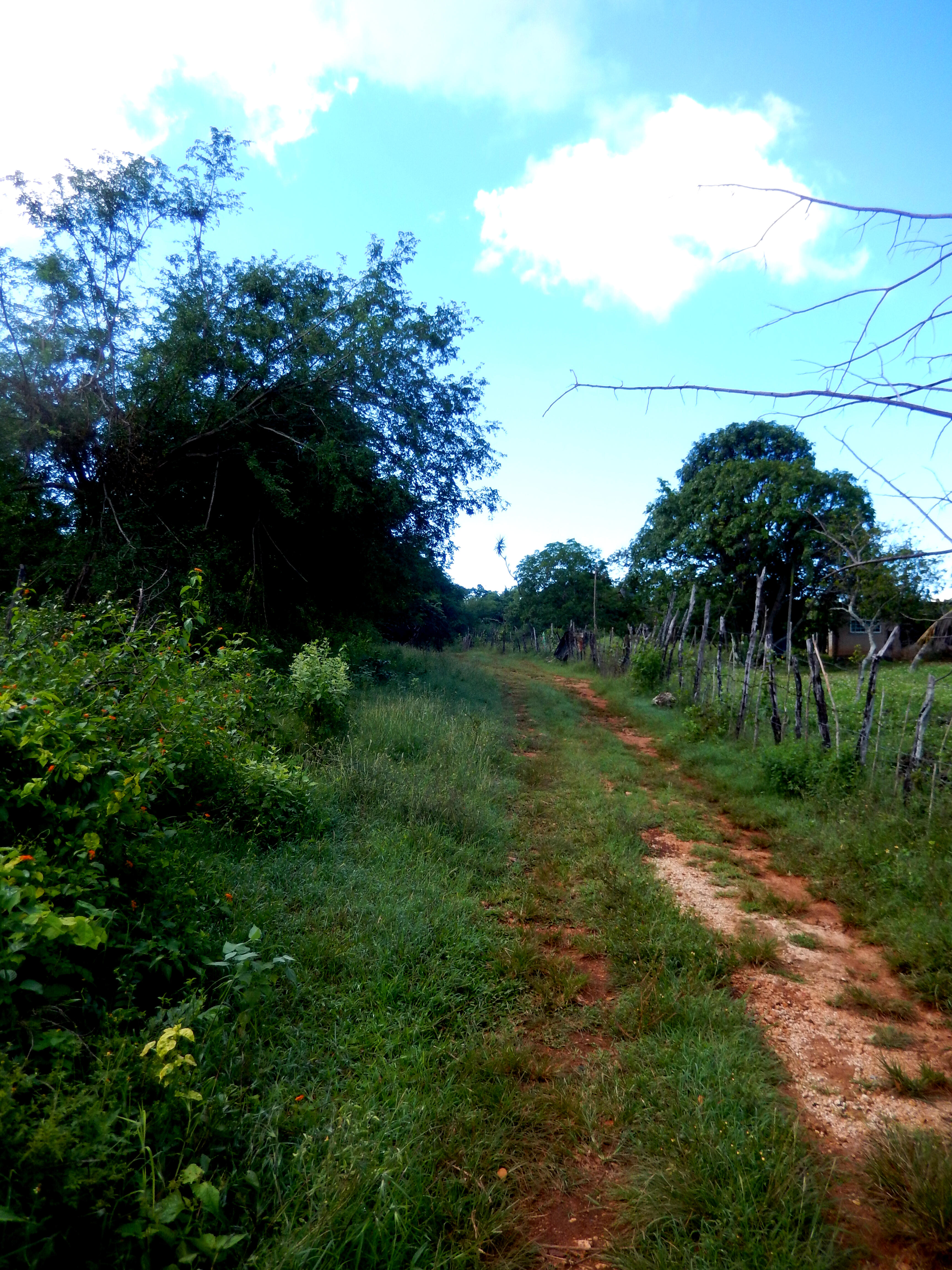 Name:  DSCN6050.jpg
Views: 468
Size:  2.38 MB