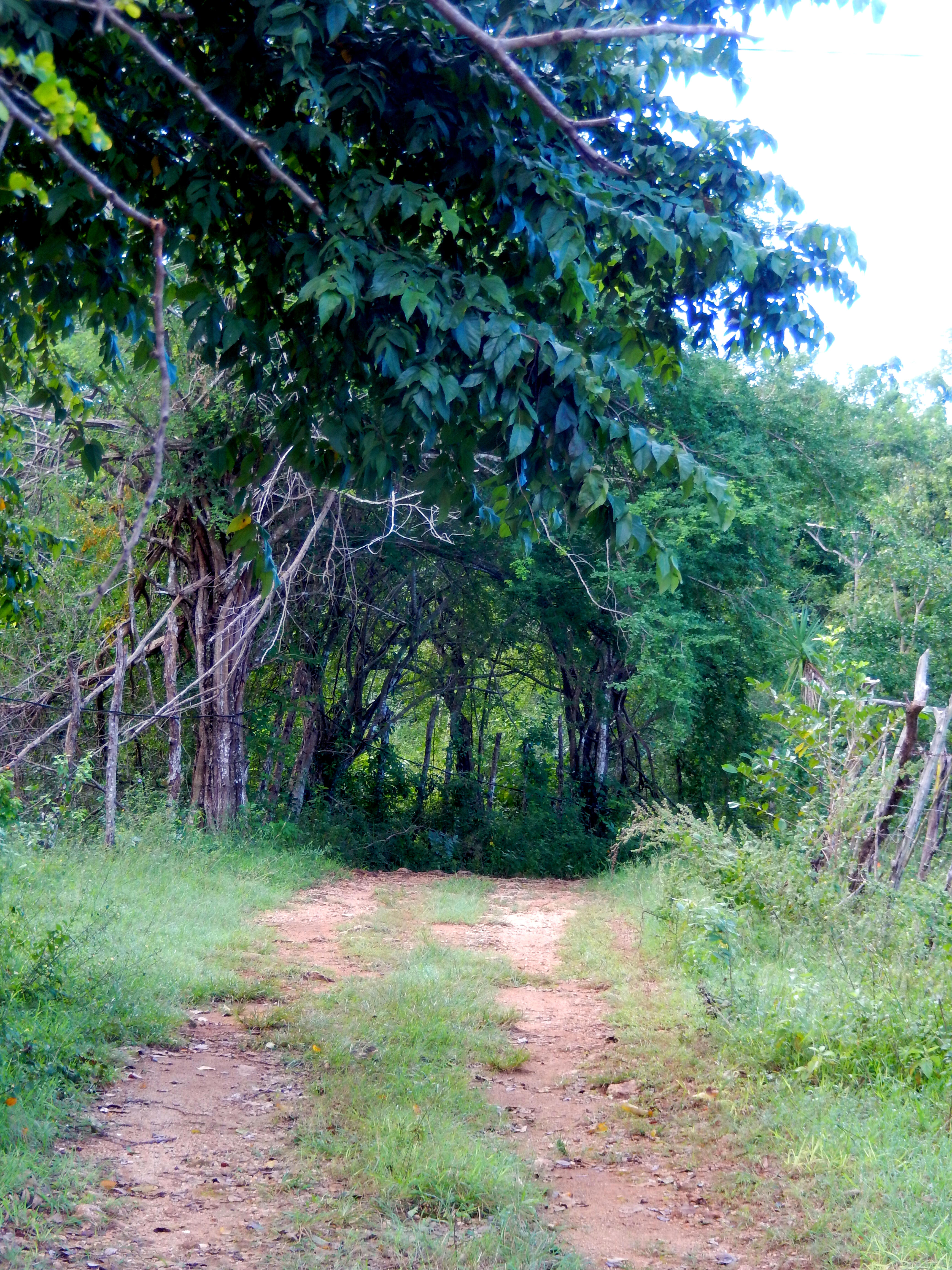 Name:  DSCN6054.jpg
Views: 484
Size:  2.94 MB