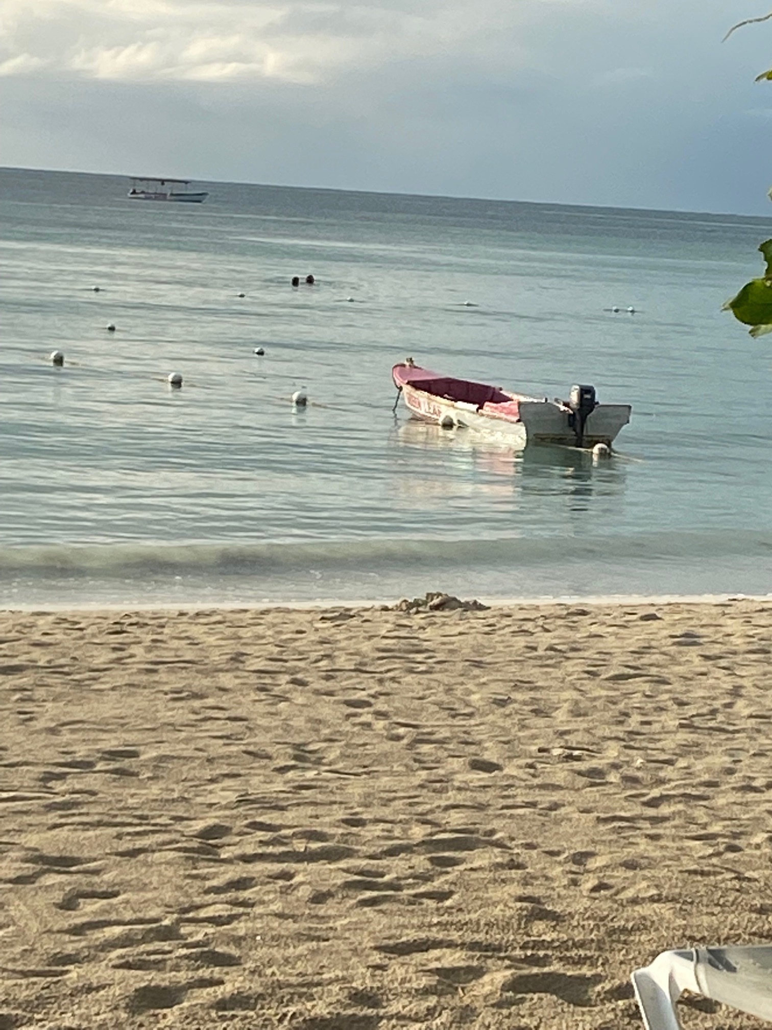 Name:  IMG_0622.jpeg
Views: 188
Size:  650.2 KB