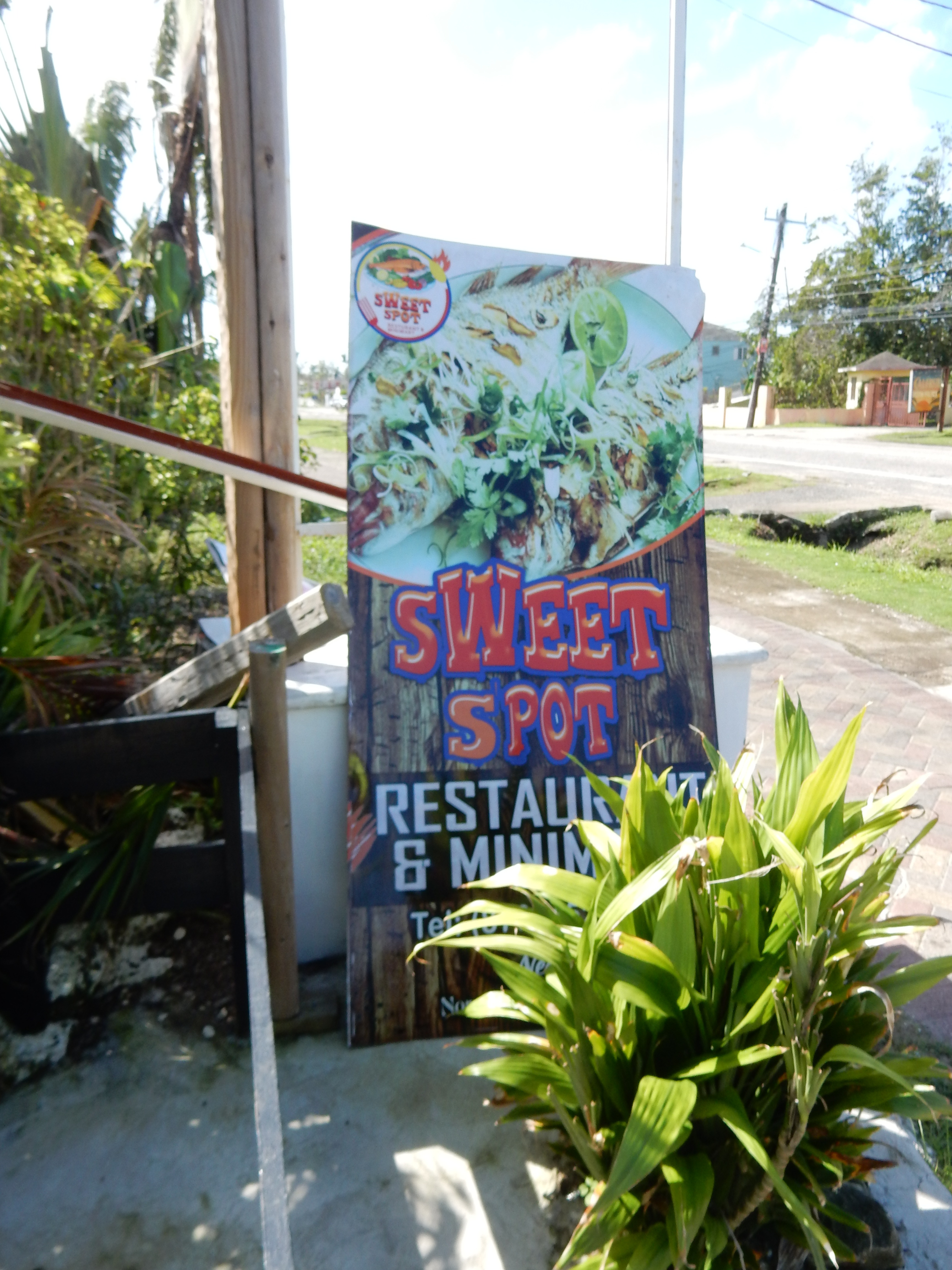 Name:  DSCN8095.JPG
Views: 266
Size:  2.57 MB