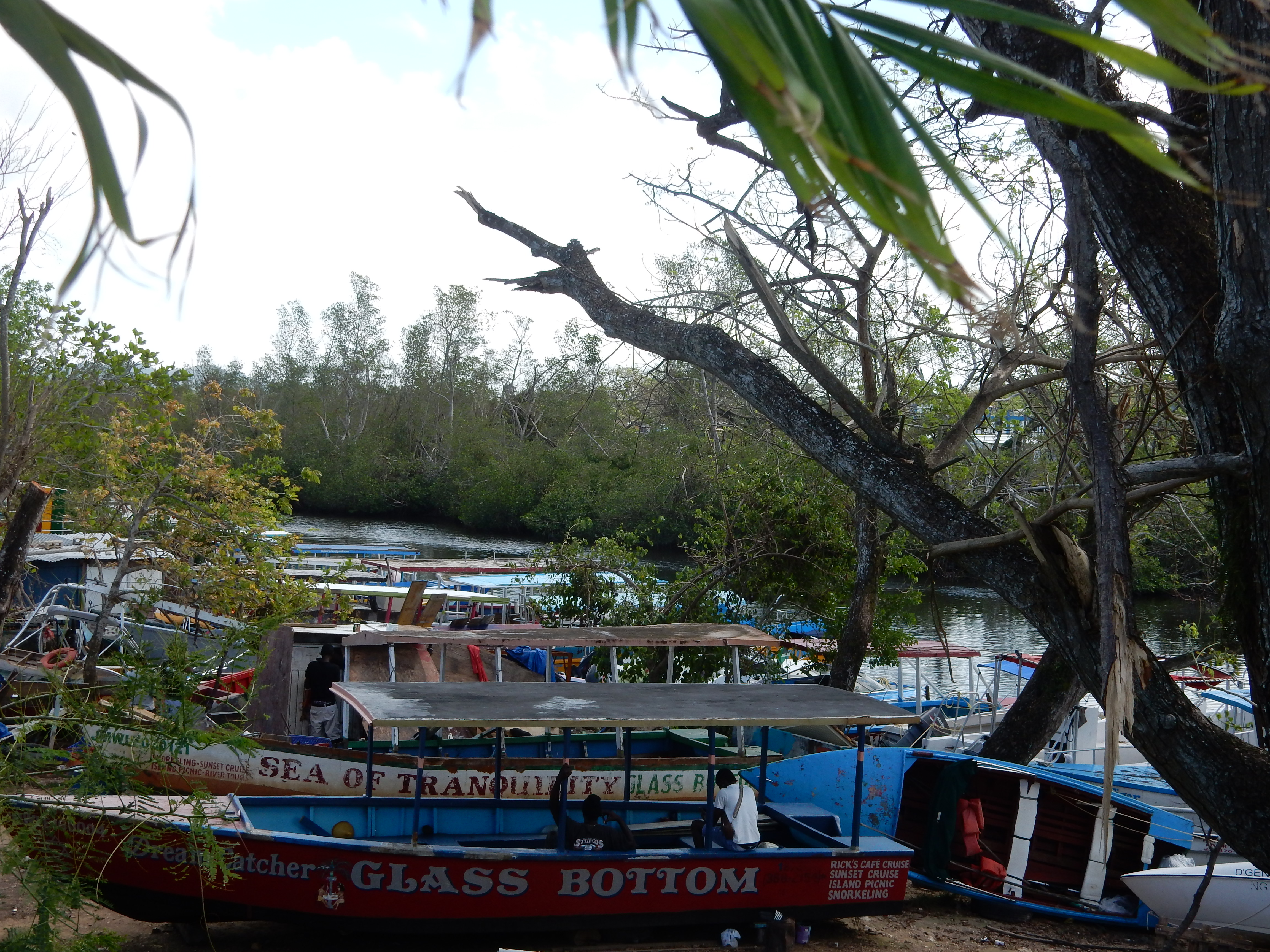 Name:  DSCN8091.JPG
Views: 330
Size:  3.32 MB