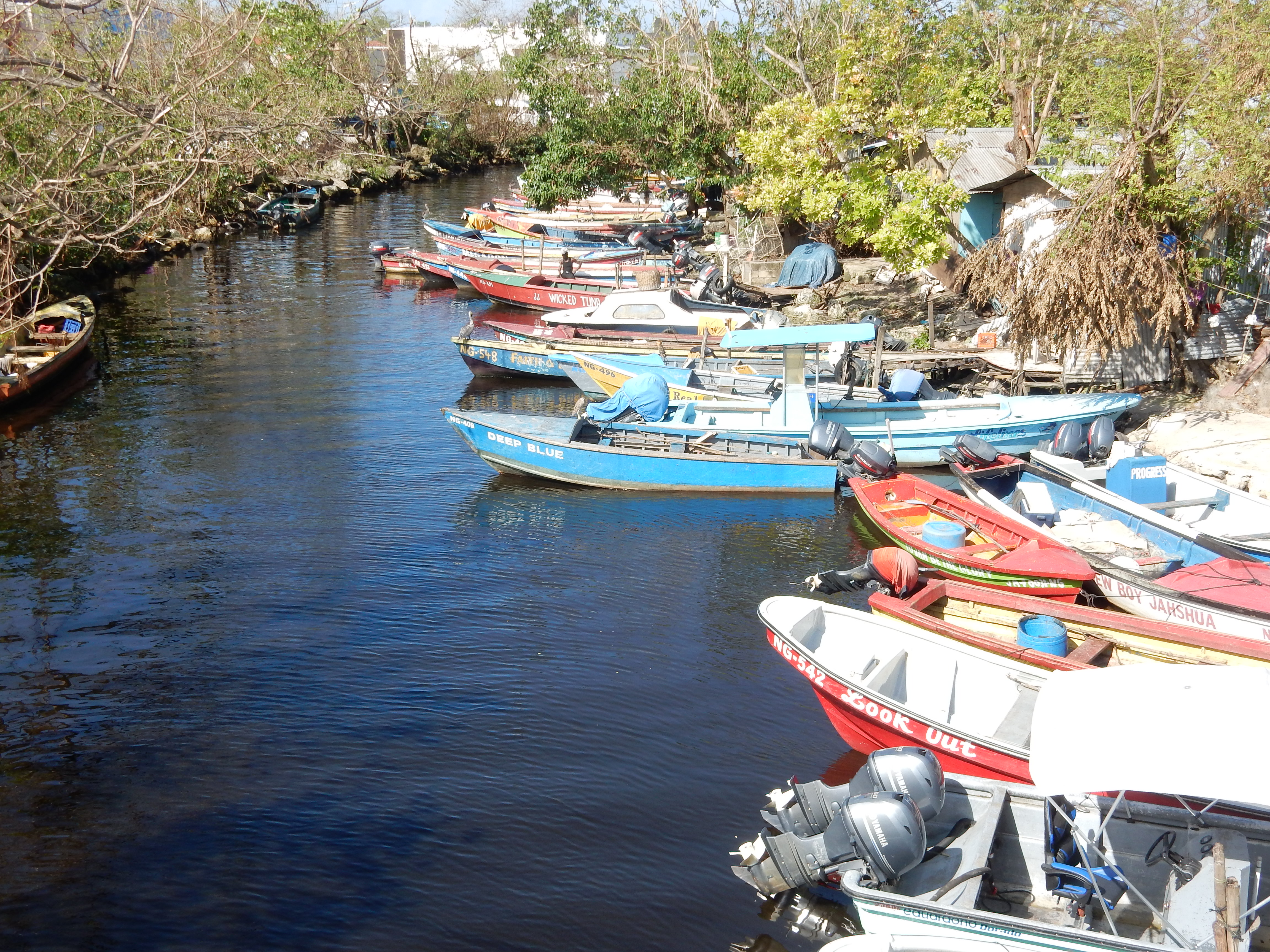 Name:  DSCN8086.JPG
Views: 334
Size:  3.50 MB