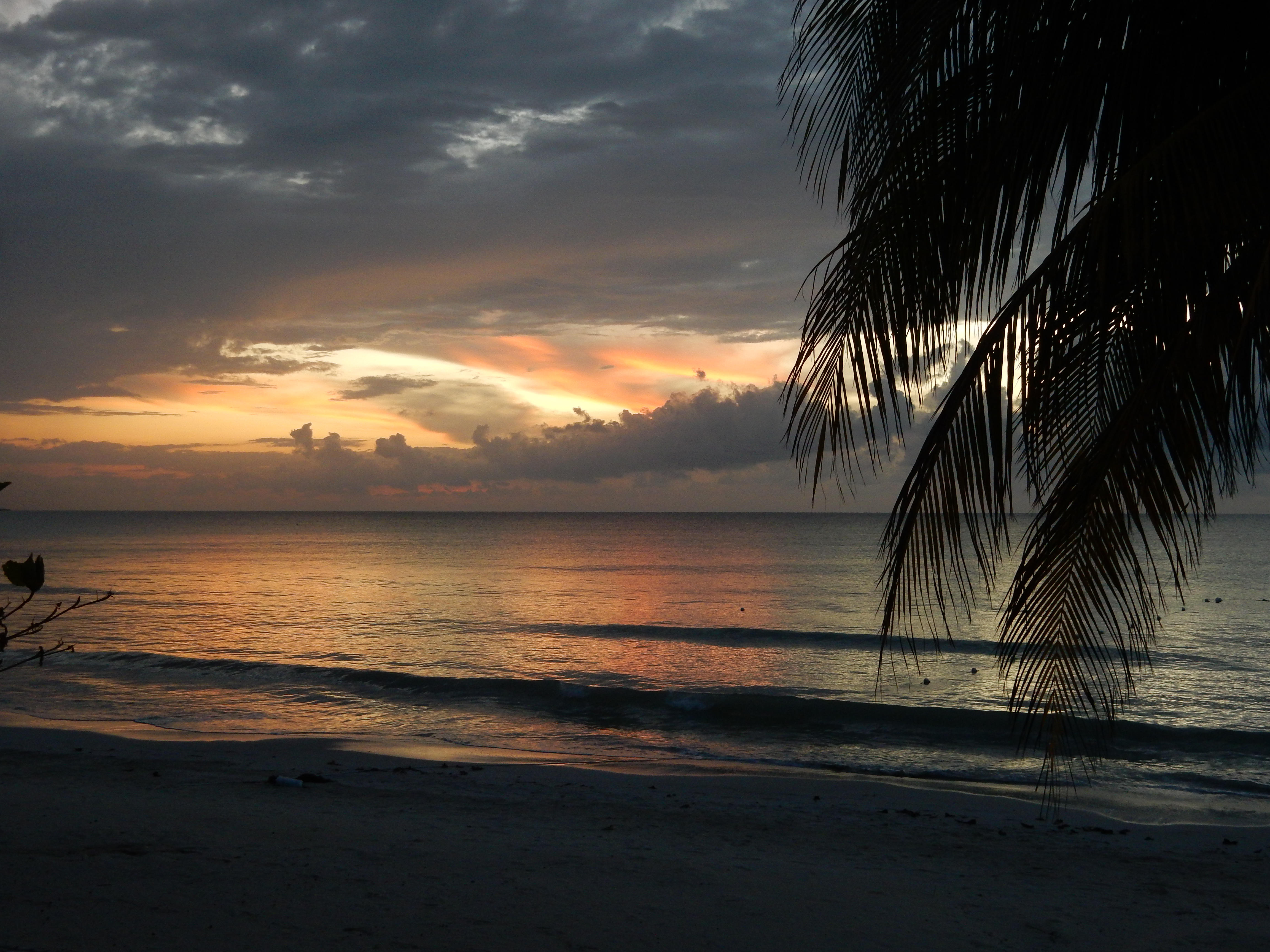 Name:  DSCN8181.JPG
Views: 317
Size:  3.15 MB