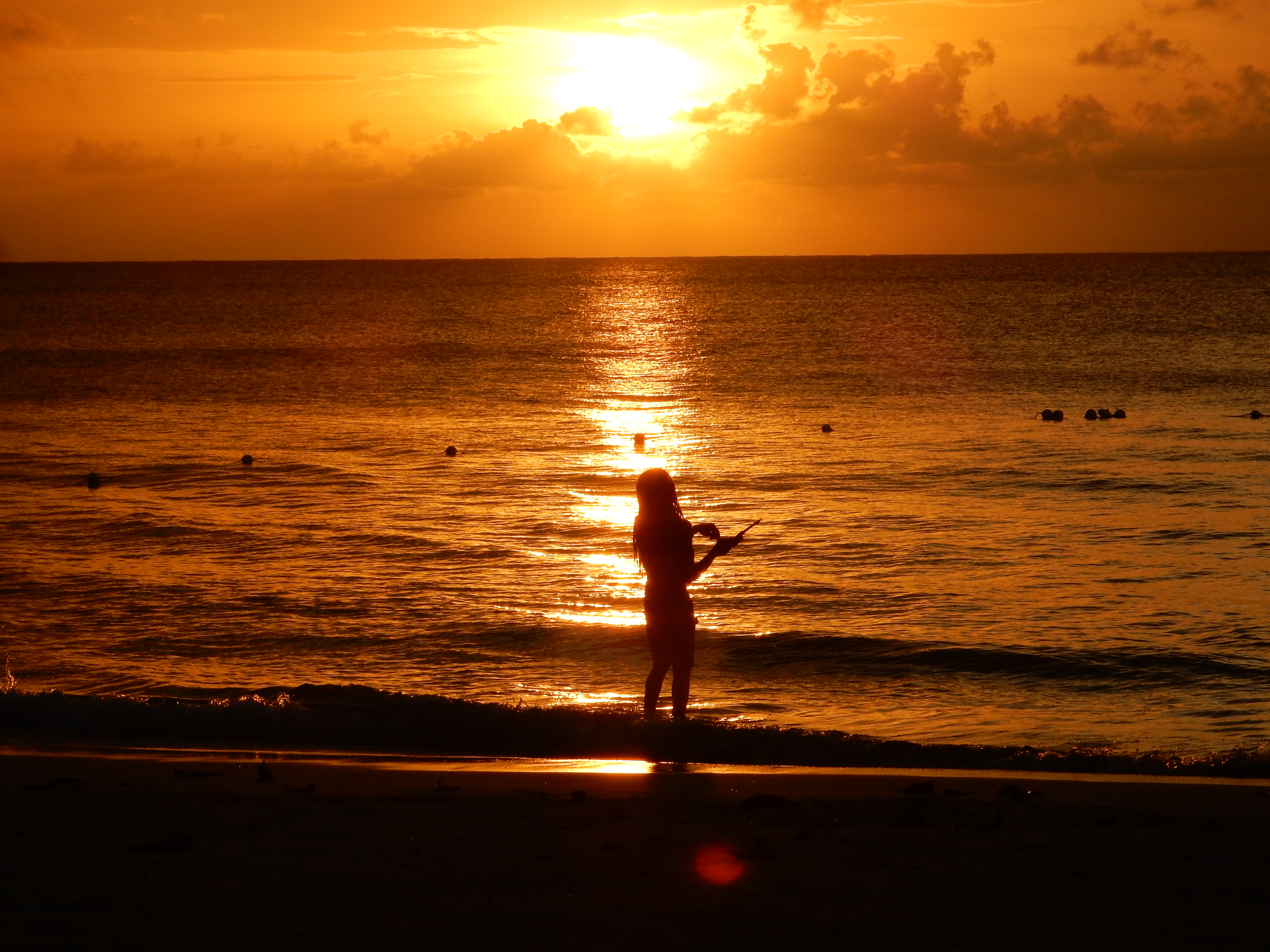 Name:  DSCN8167.JPG
Views: 306
Size:  3.18 MB