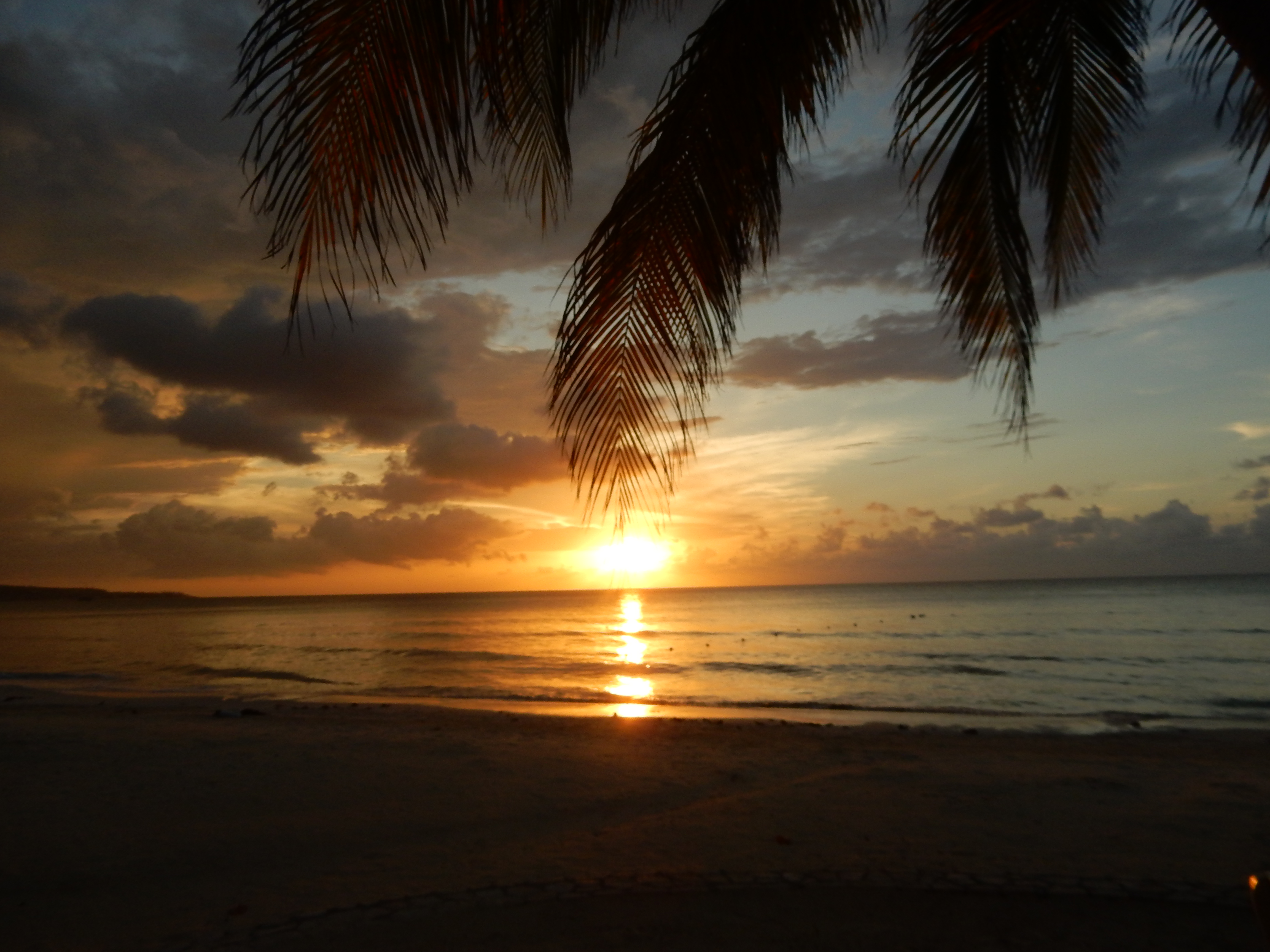 Name:  DSCN8162.JPG
Views: 310
Size:  3.29 MB