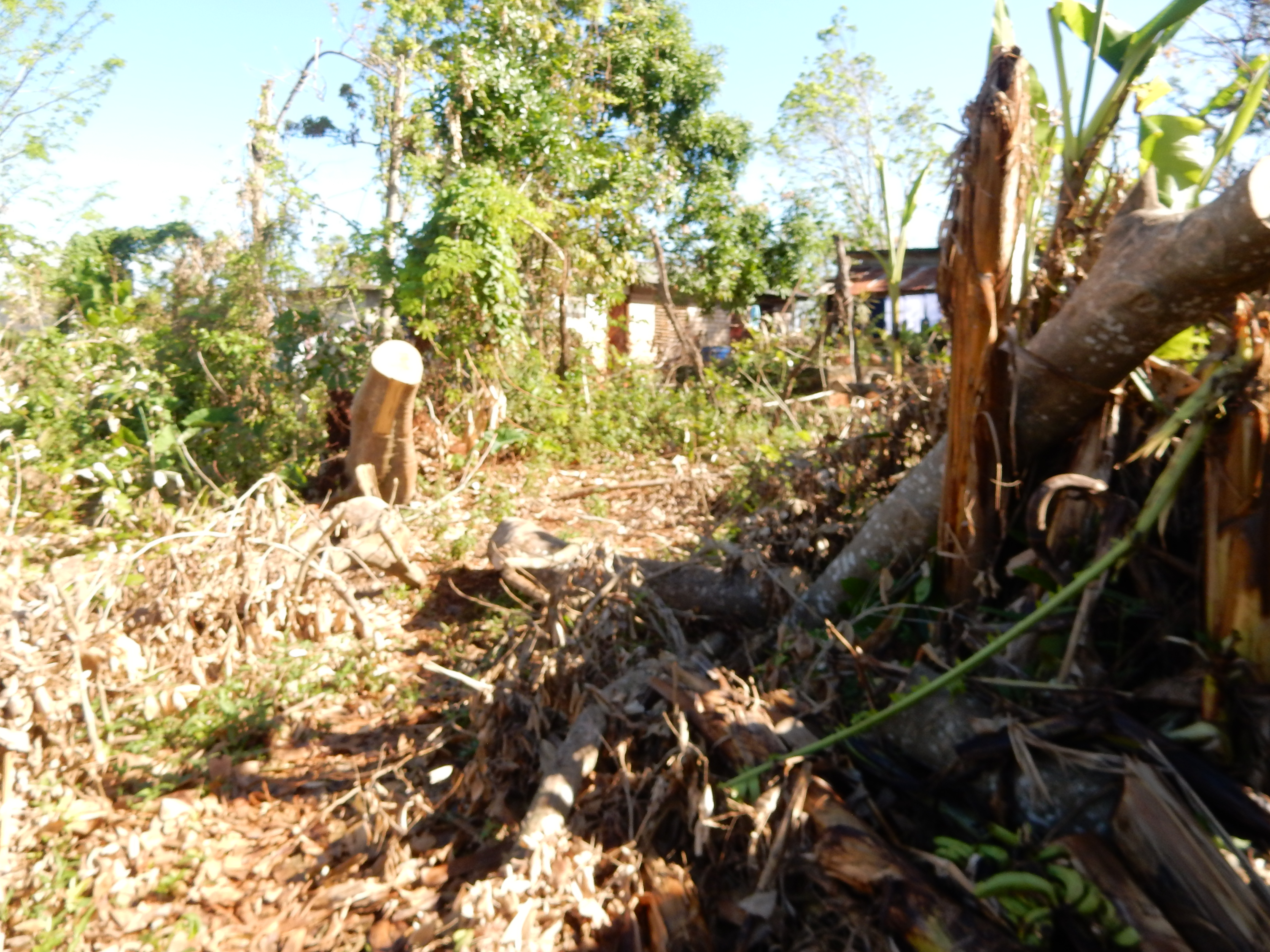 Name:  DSCN8191.JPG
Views: 220
Size:  3.36 MB