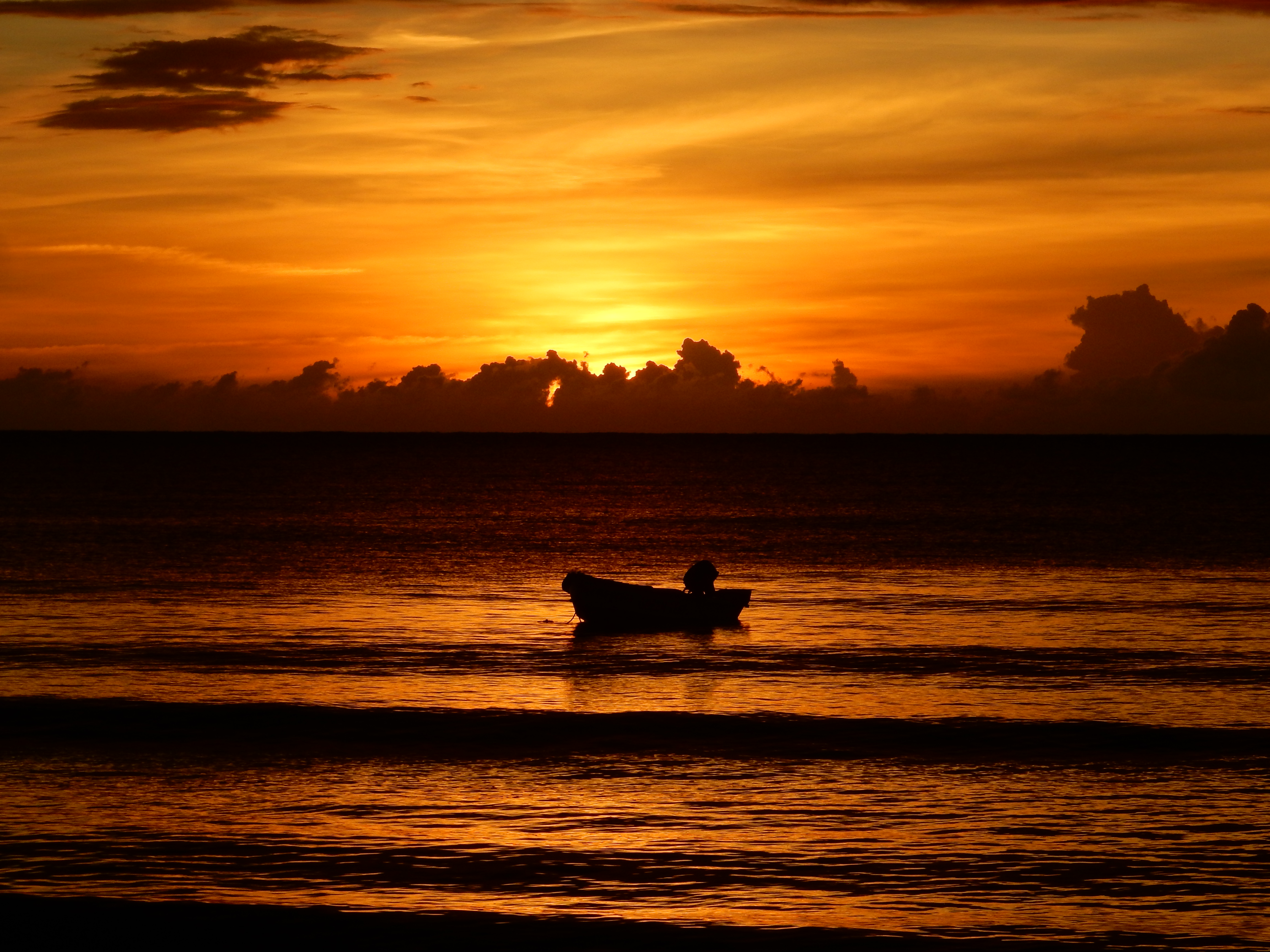 Name:  DSCN8209.JPG
Views: 228
Size:  3.22 MB