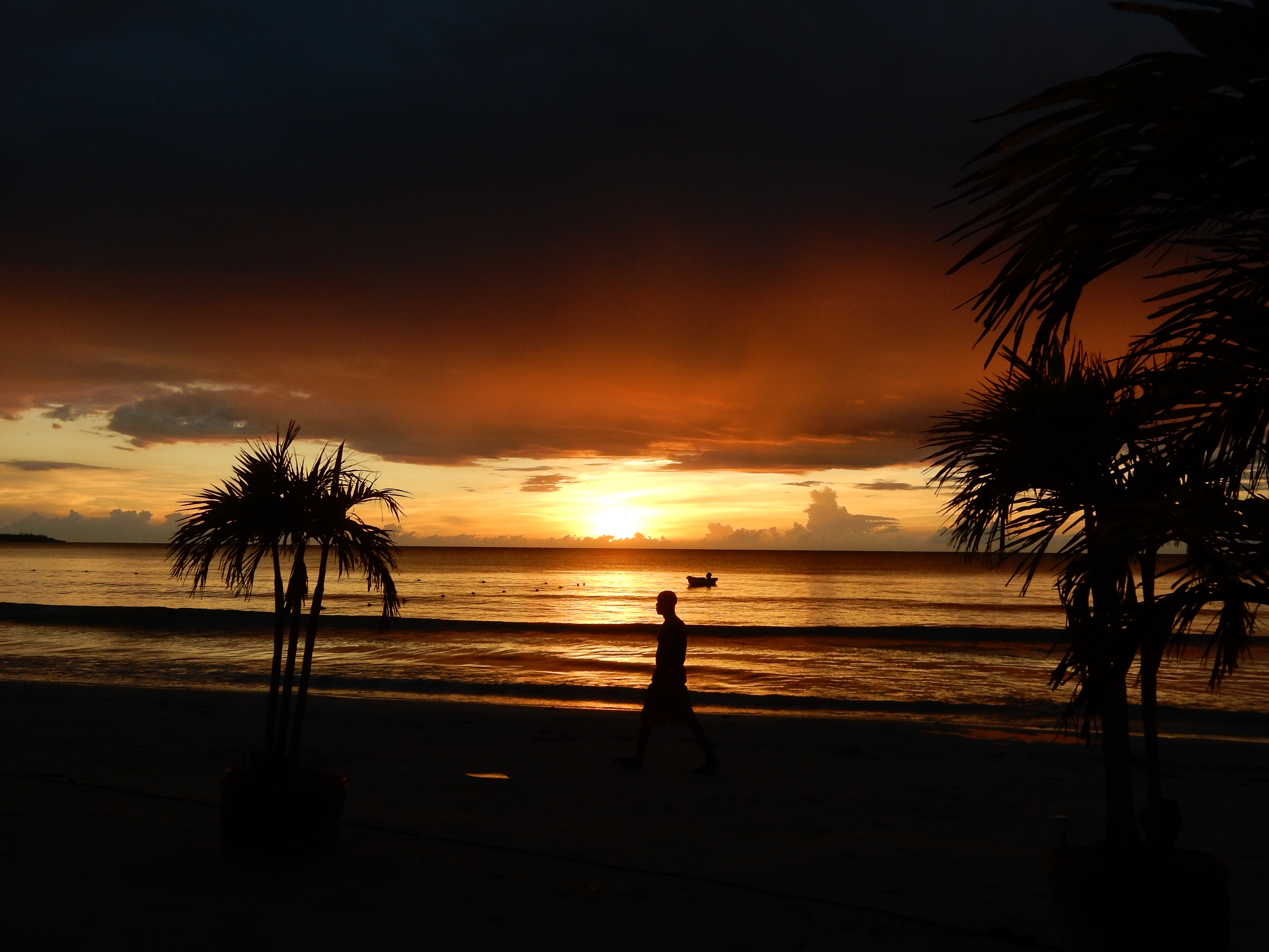 Name:  DSCN8205.JPG
Views: 230
Size:  3.26 MB