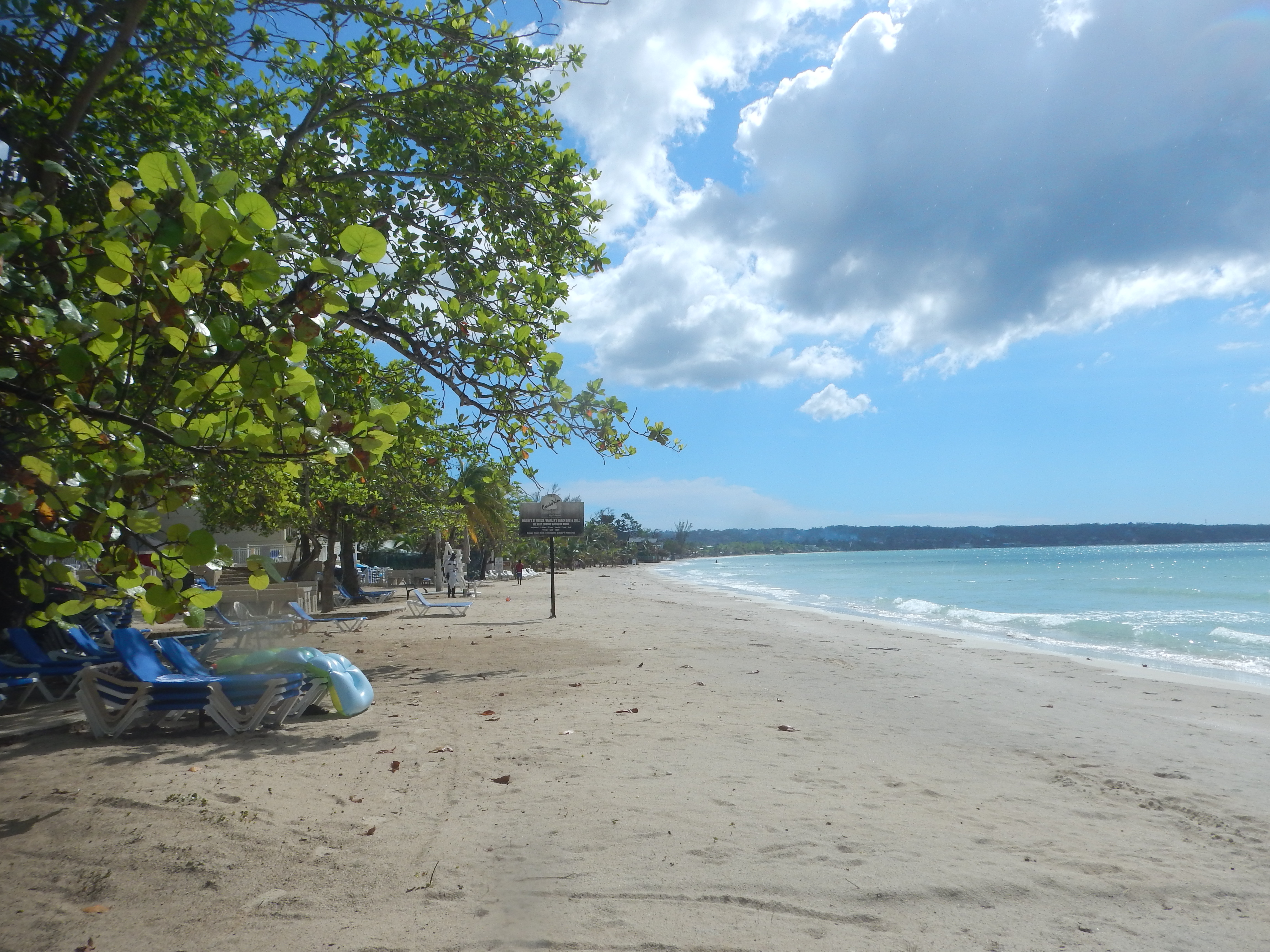 Name:  DSCN5823.JPG
Views: 242
Size:  3.44 MB