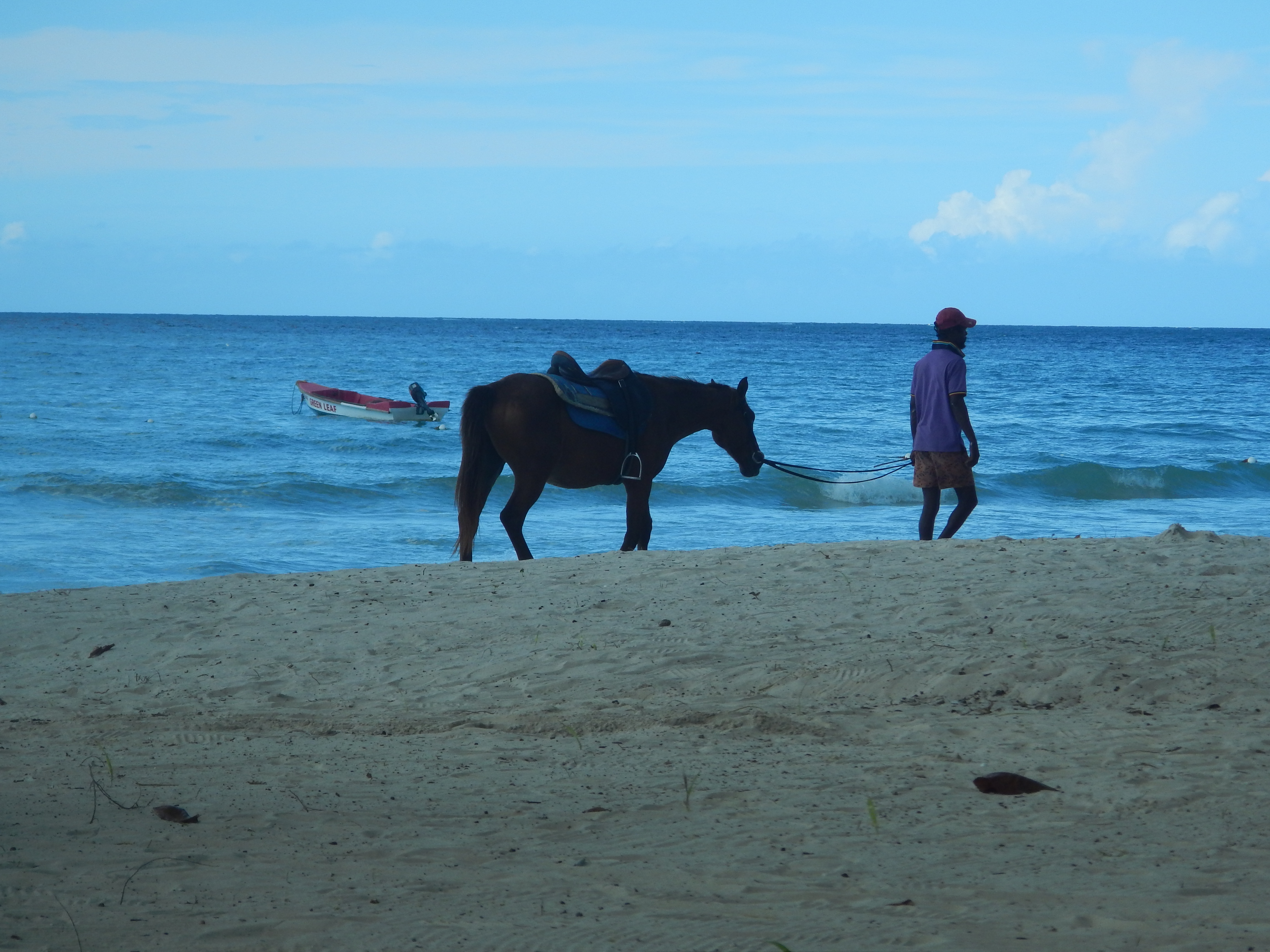 Name:  DSCN5822.JPG
Views: 229
Size:  3.41 MB