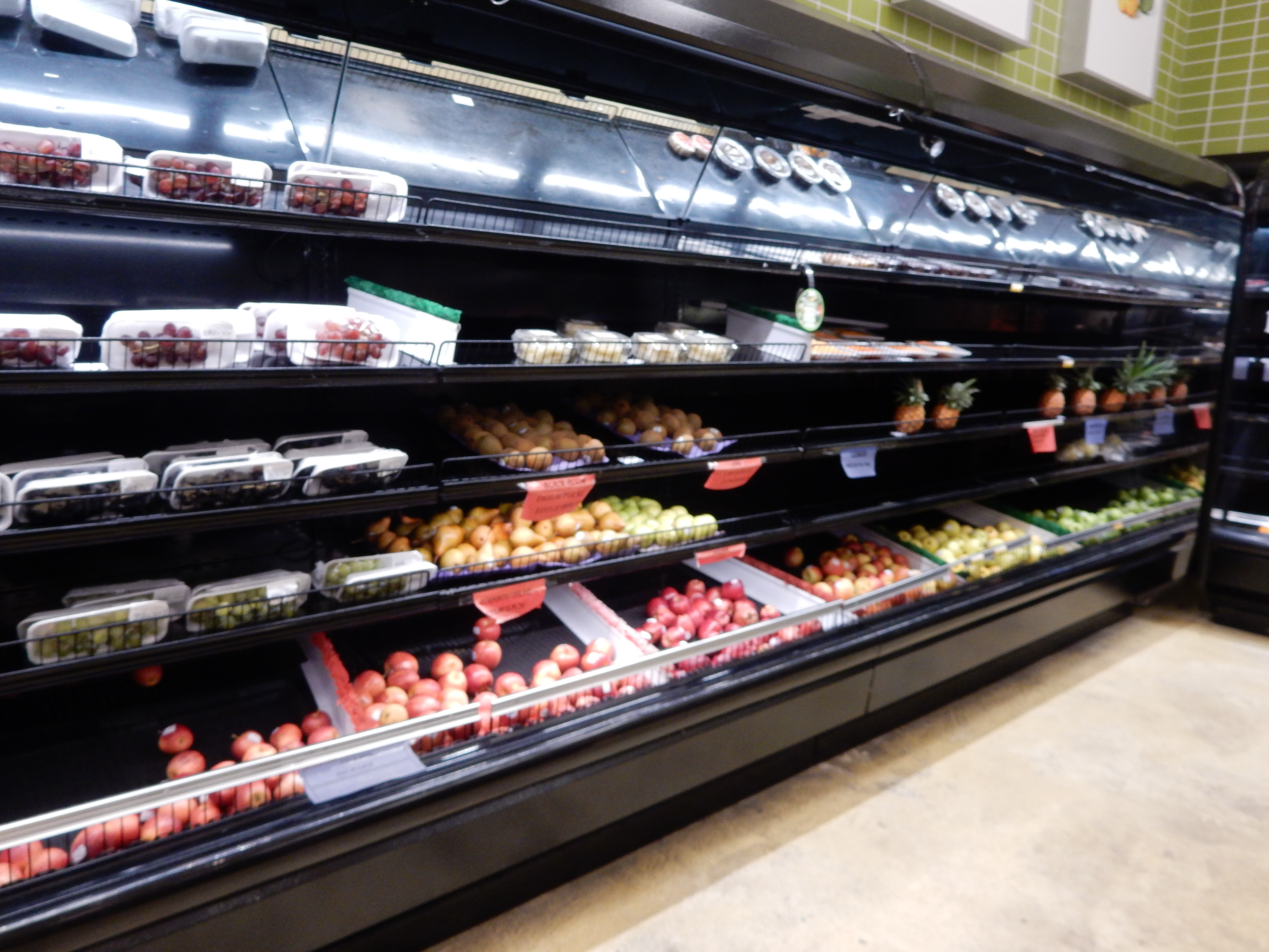 Name:  DSCN8221.JPG
Views: 370
Size:  3.39 MB