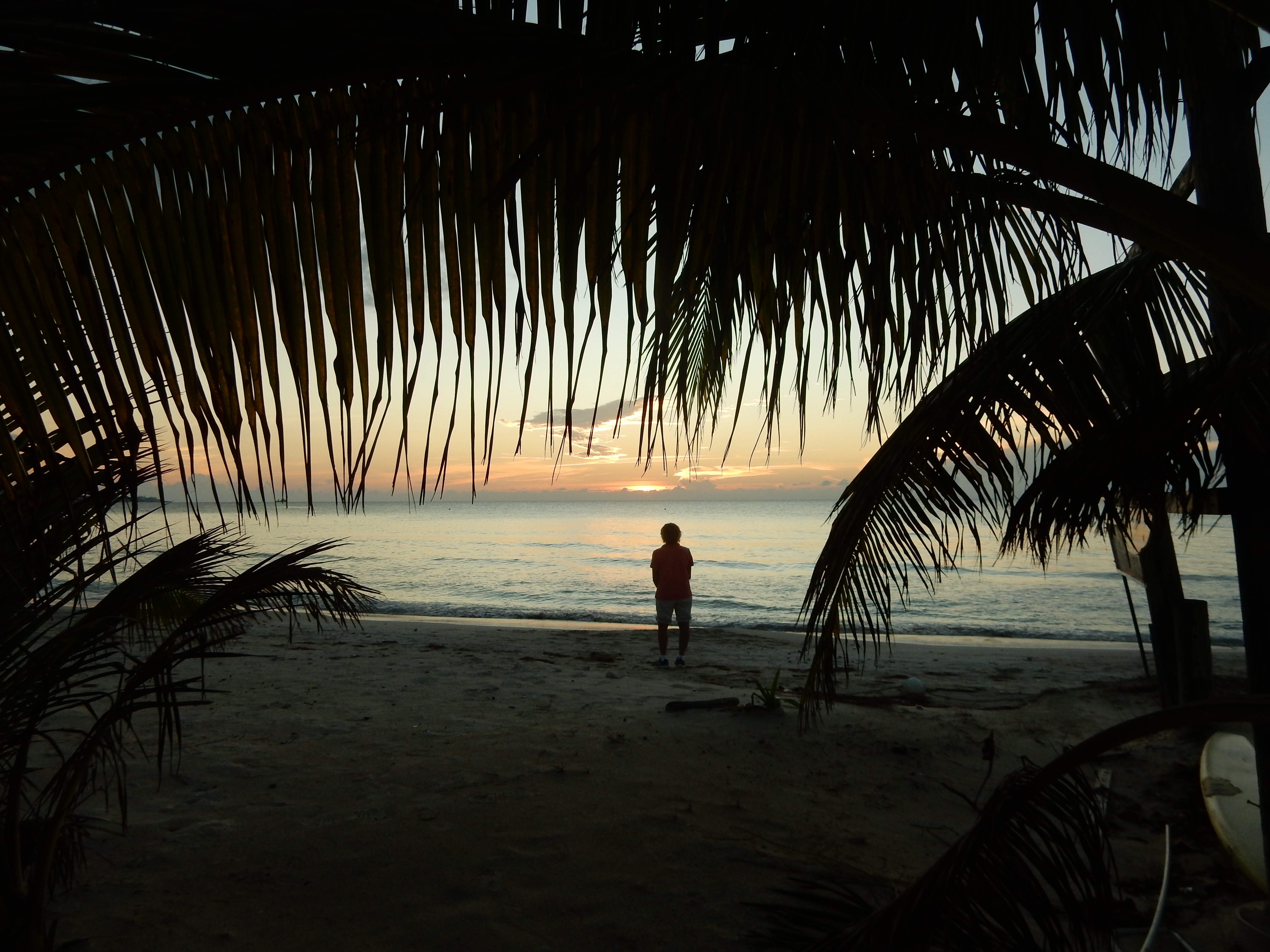 Name:  DSCN8254.JPG
Views: 200
Size:  3.49 MB