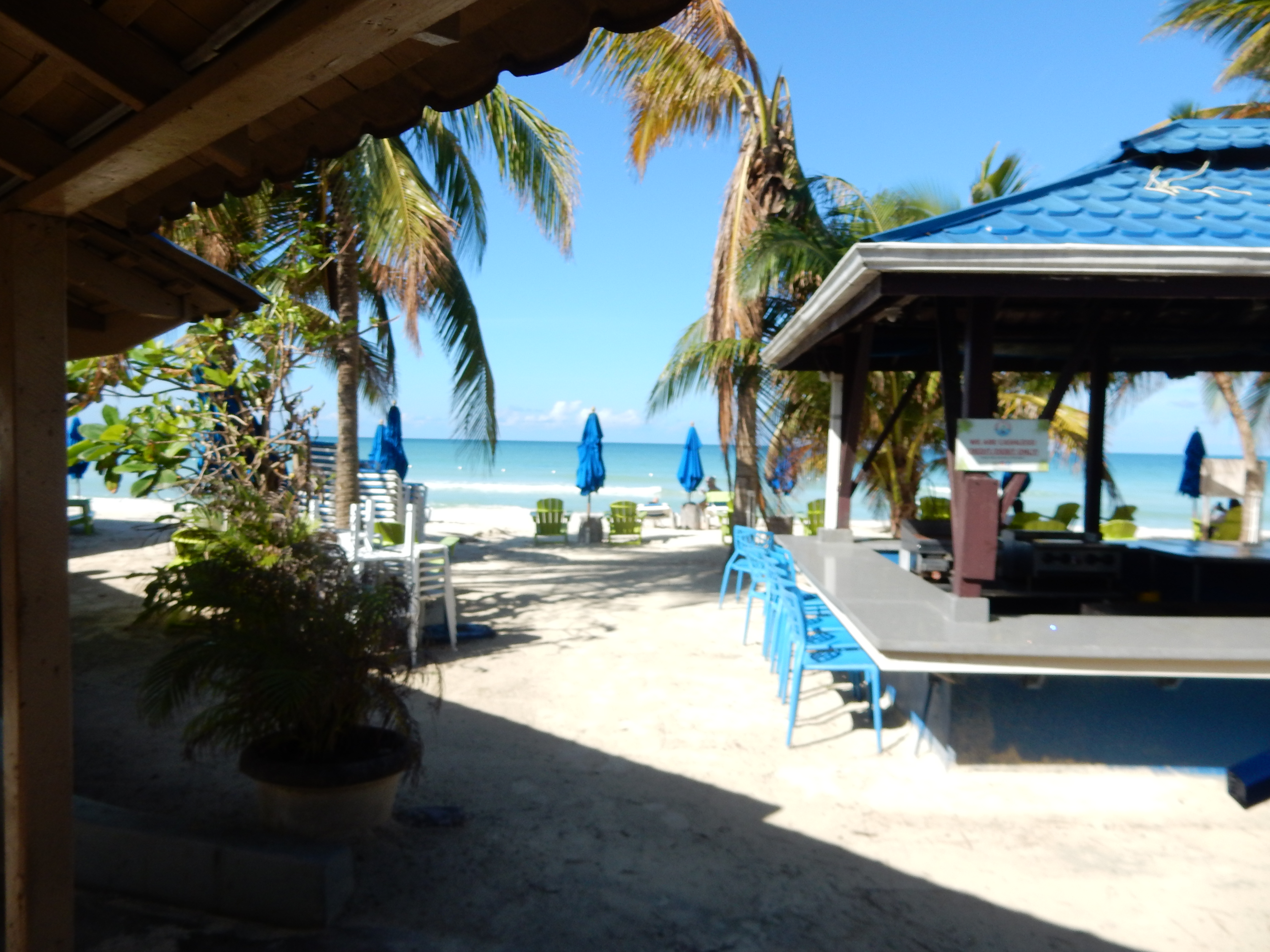 Name:  DSCN8234.JPG
Views: 274
Size:  3.09 MB