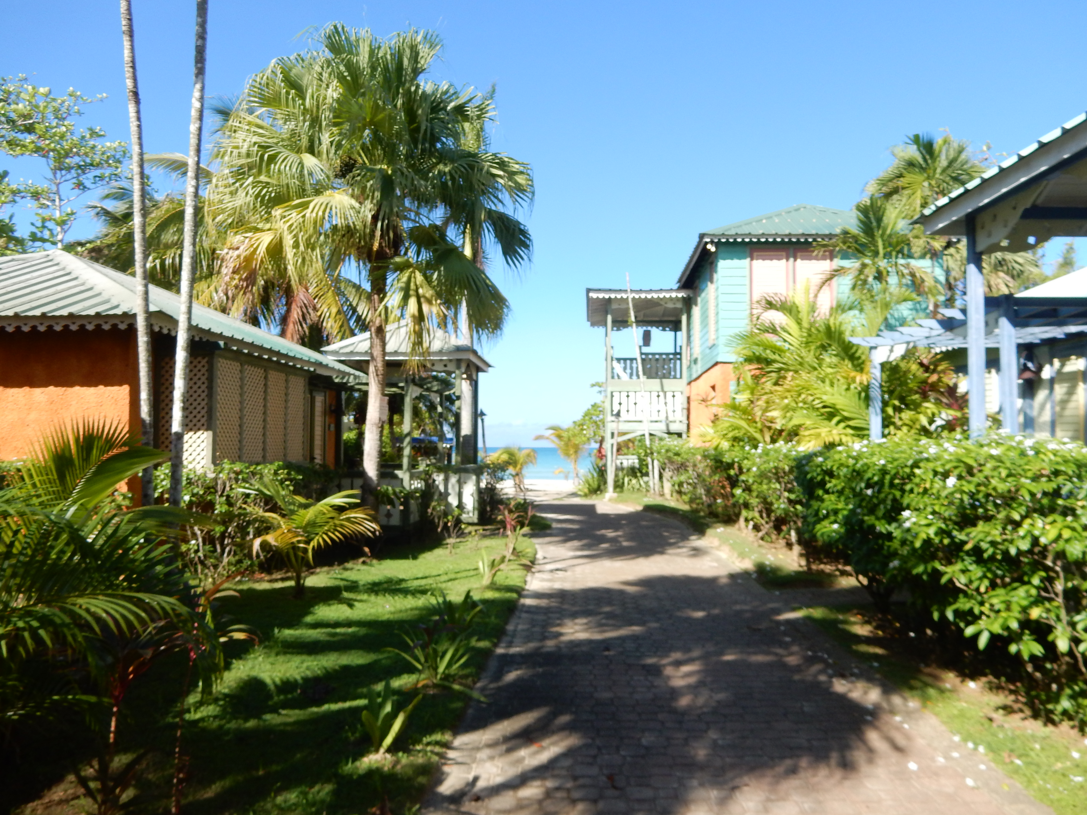 Name:  DSCN8229.JPG
Views: 273
Size:  3.28 MB