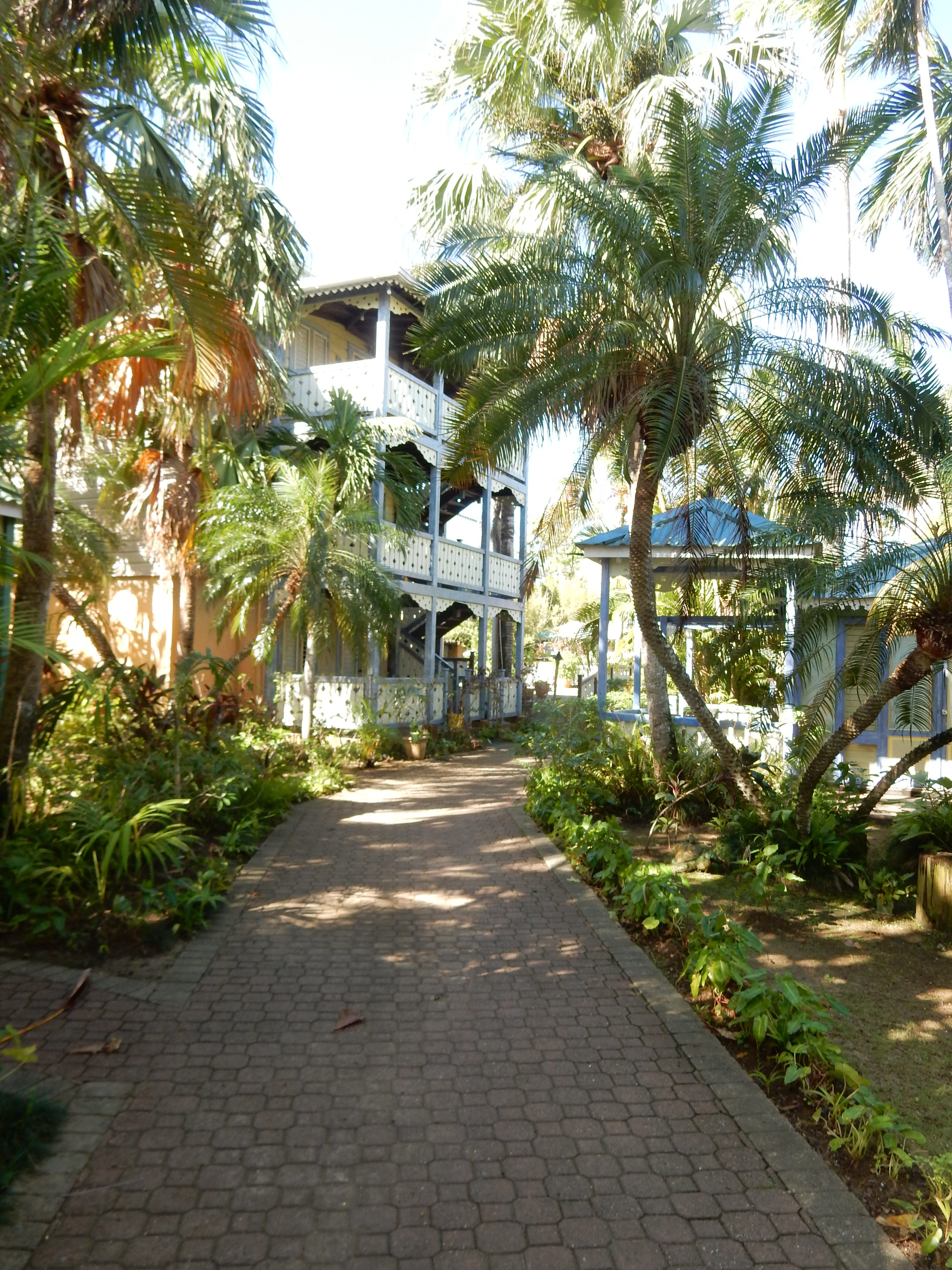 Name:  DSCN8228.JPG
Views: 272
Size:  2.94 MB