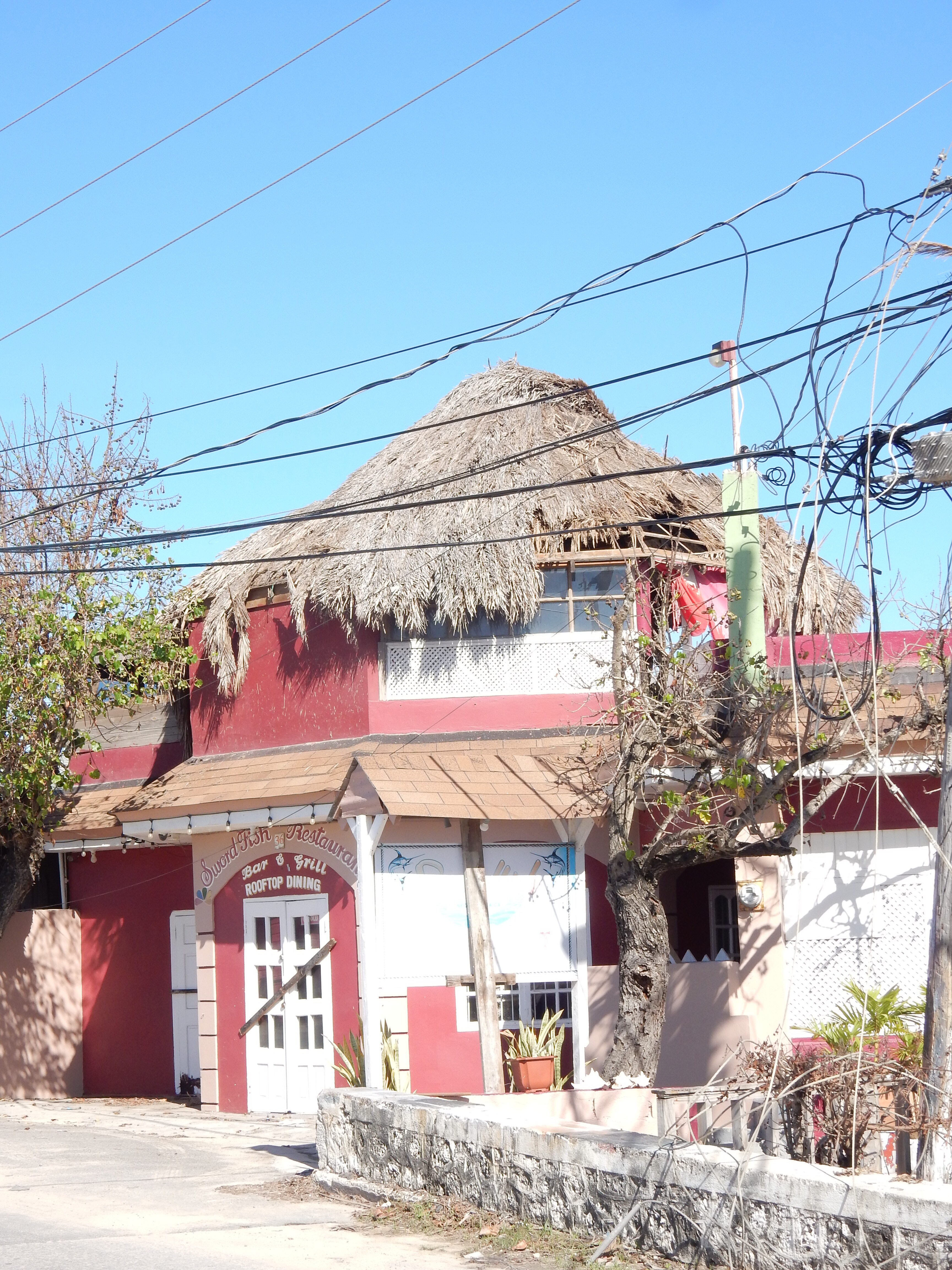 Name:  DSCN8136.JPG
Views: 347
Size:  2.88 MB