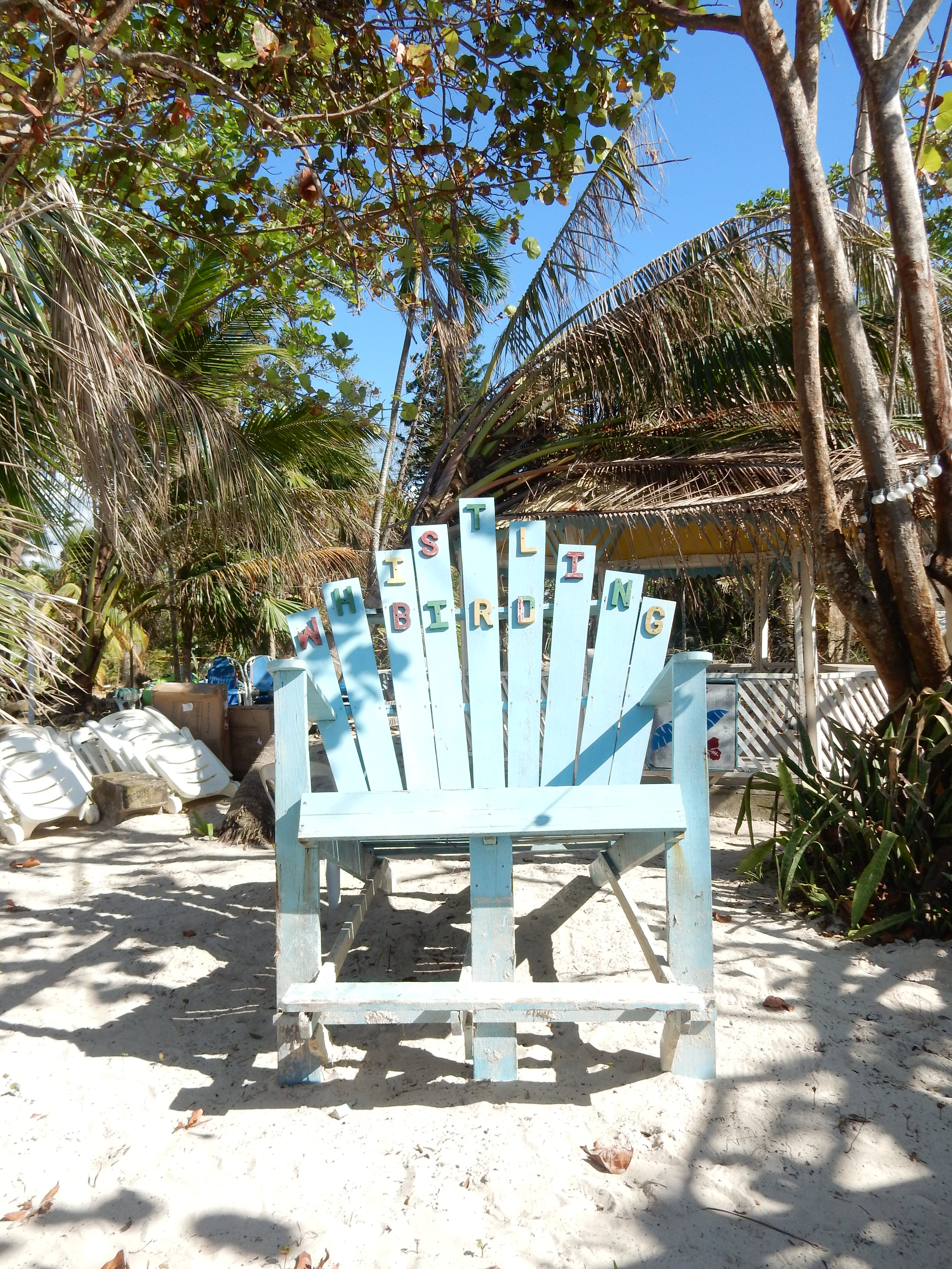 Name:  DSCN8275.JPG
Views: 265
Size:  2.89 MB