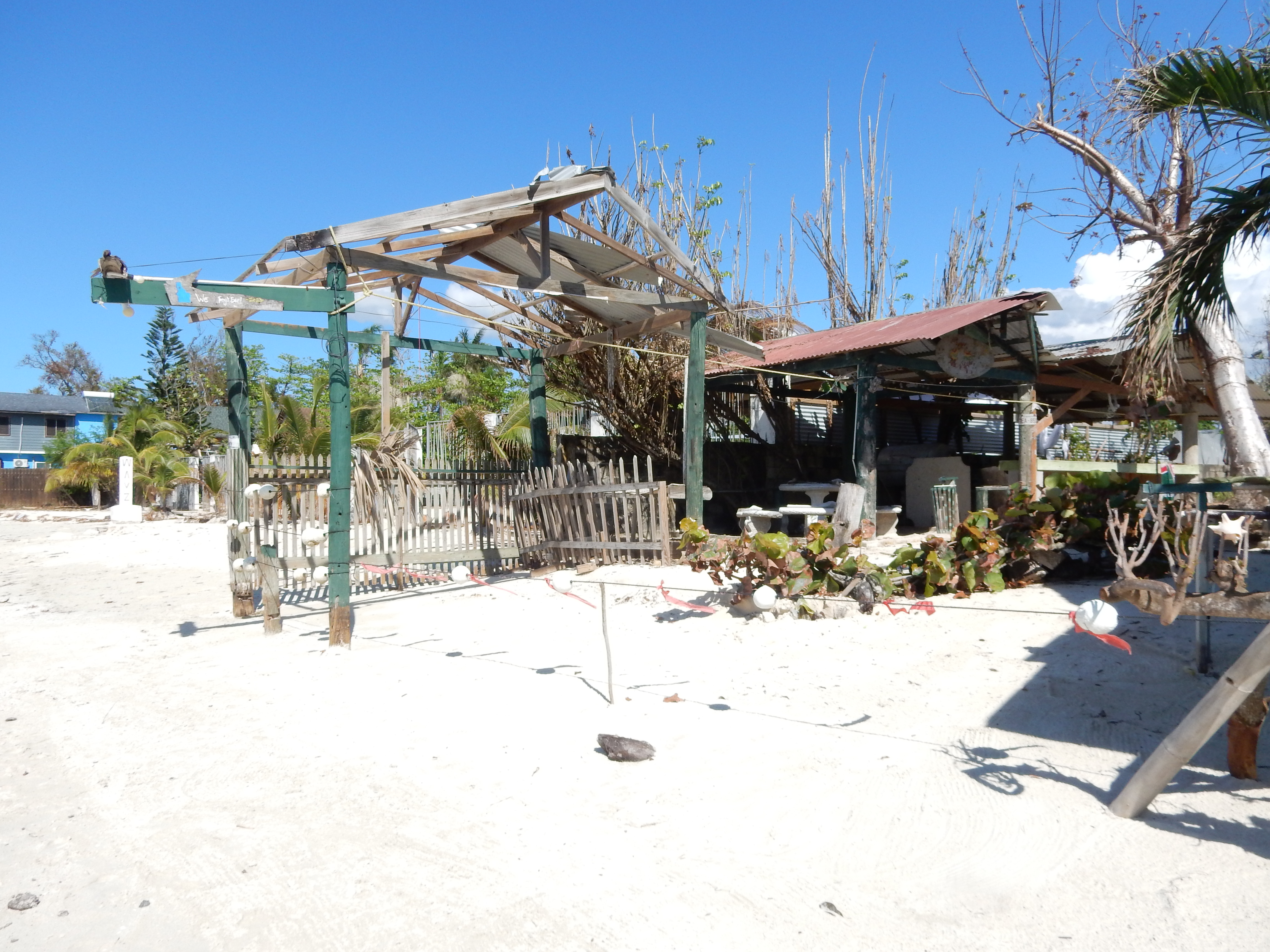 Name:  DSCN8270.JPG
Views: 261
Size:  3.20 MB