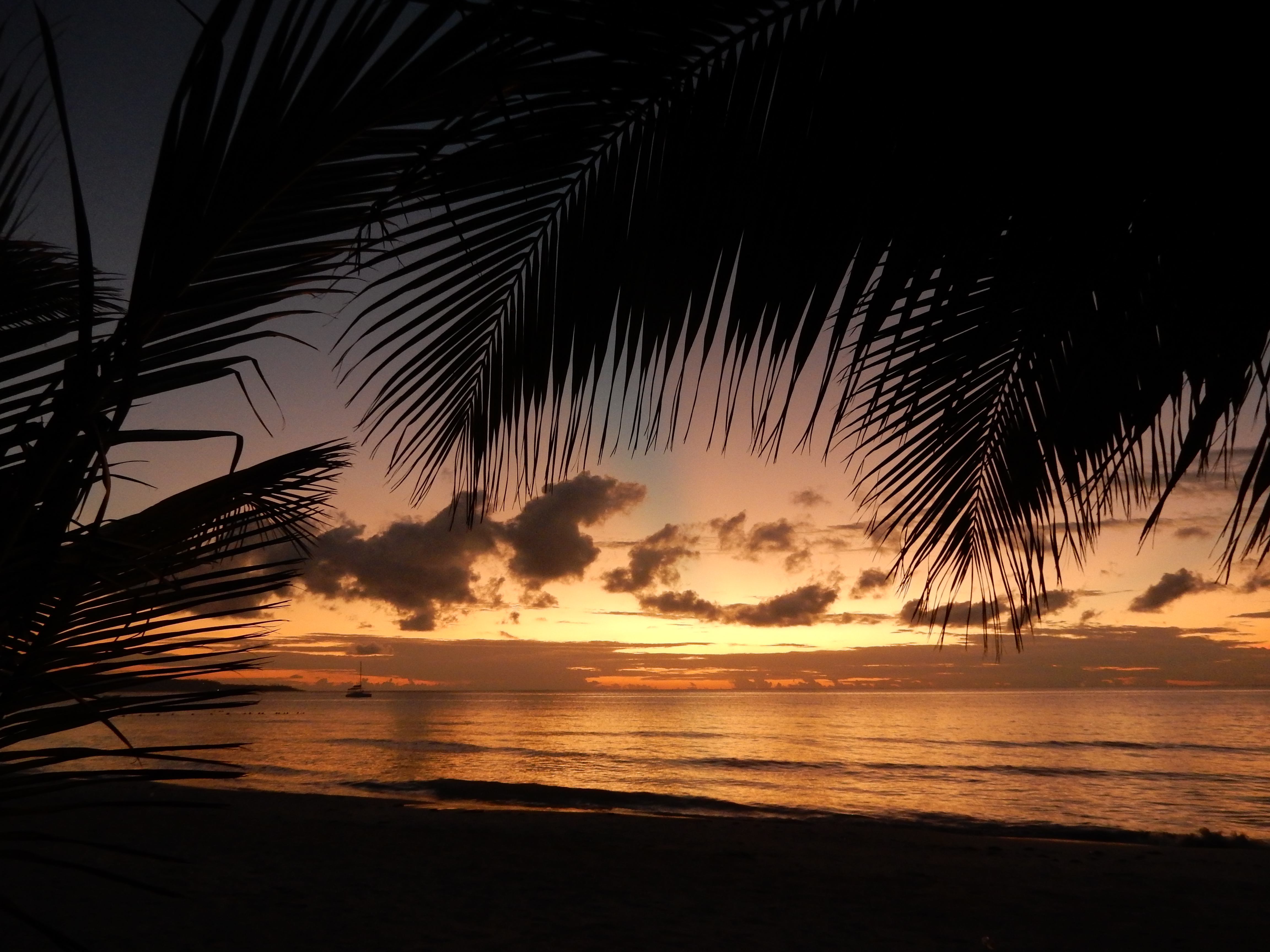 Name:  DSCN8320.JPG
Views: 125
Size:  3.47 MB