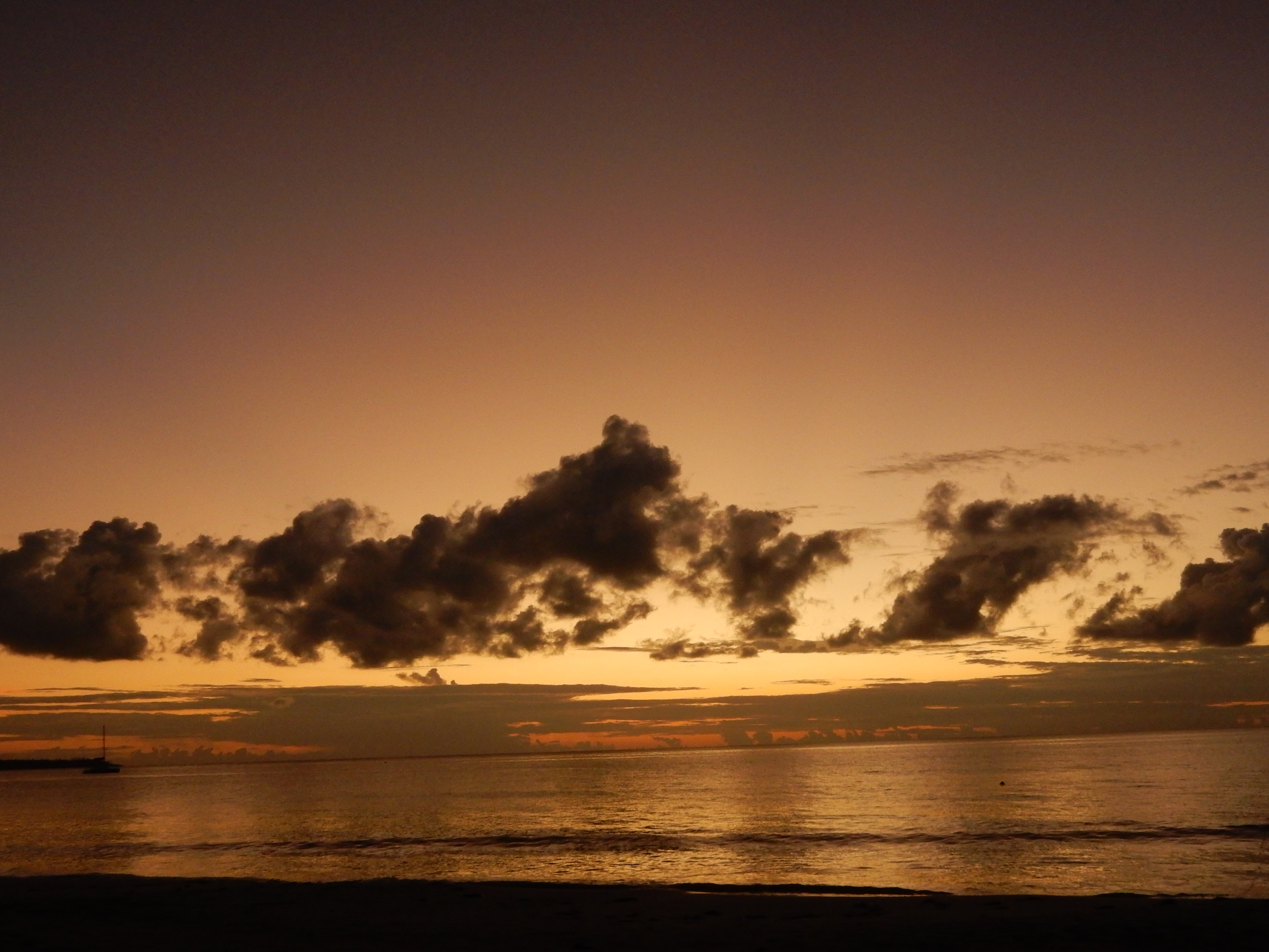 Name:  DSCN8313.JPG
Views: 118
Size:  3.45 MB