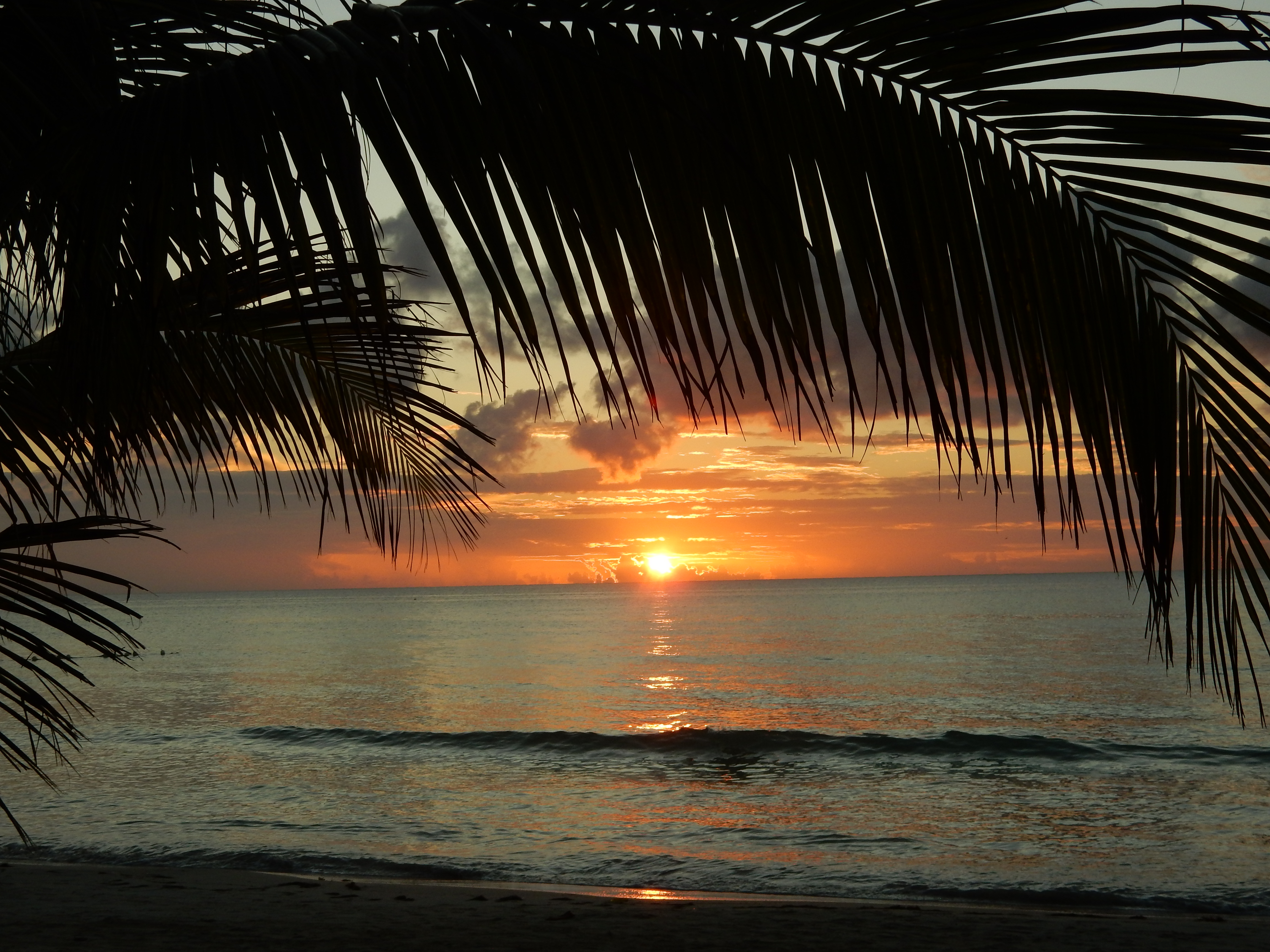 Name:  DSCN8295.JPG
Views: 118
Size:  3.28 MB