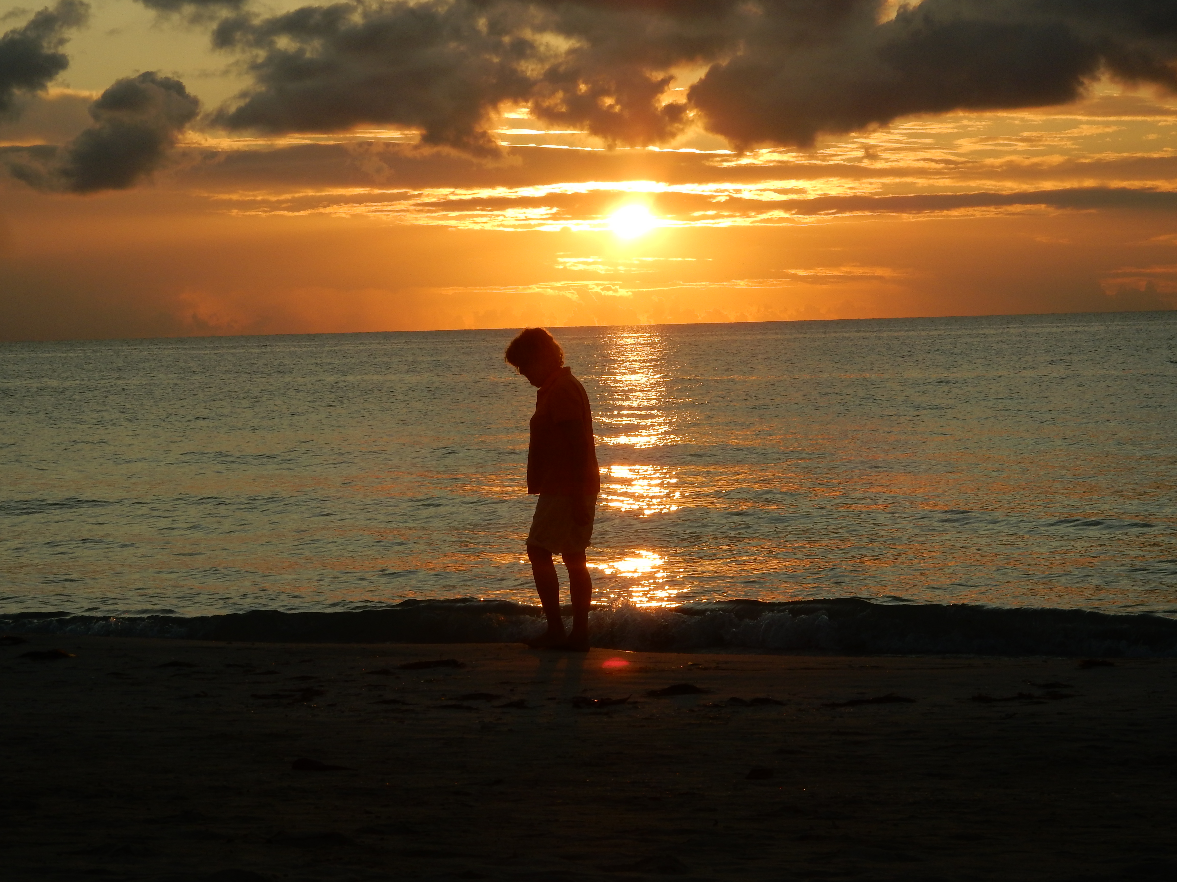 Name:  DSCN8284.JPG
Views: 118
Size:  3.31 MB