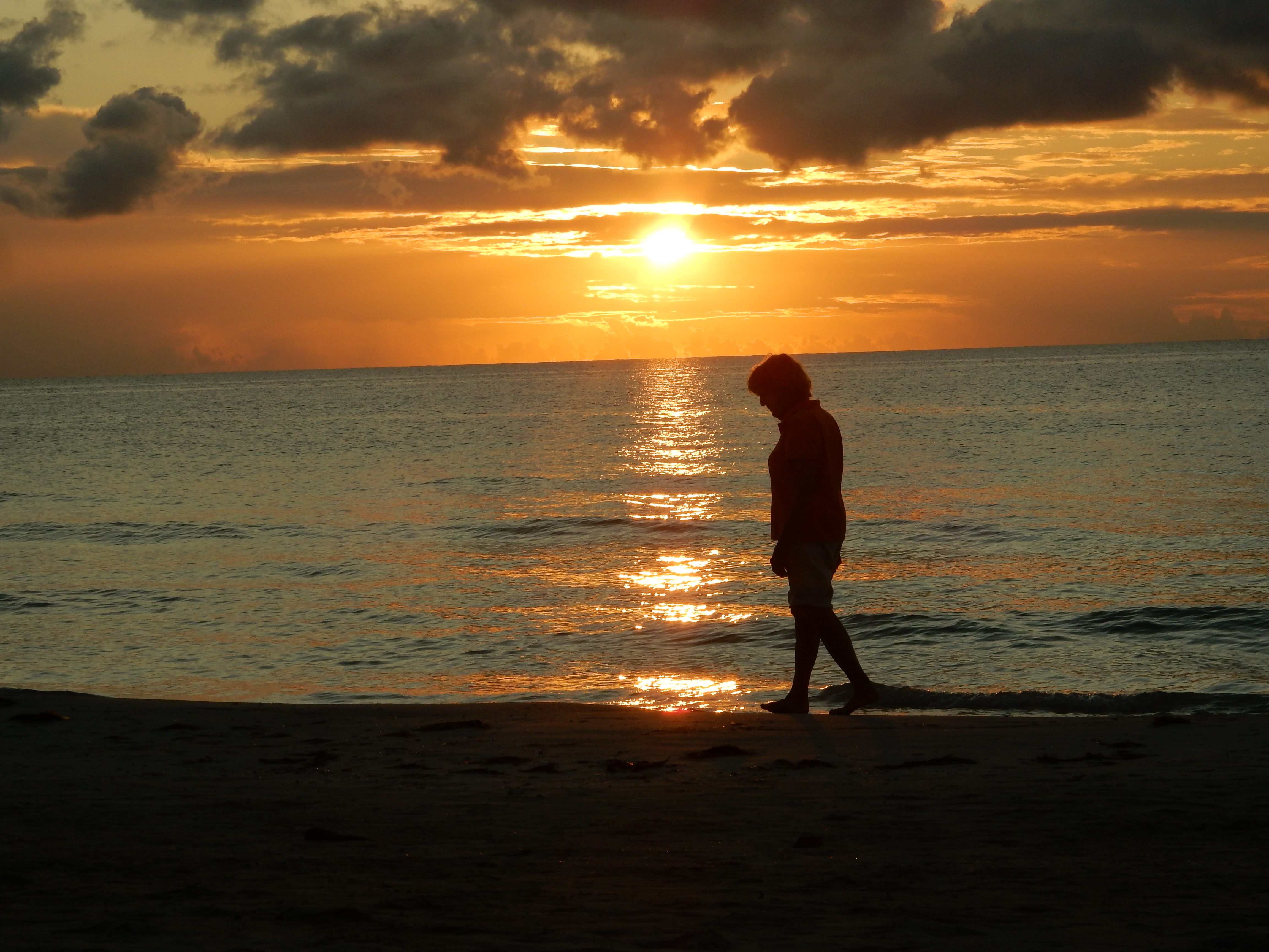 Name:  DSCN8283.JPG
Views: 91
Size:  3.43 MB