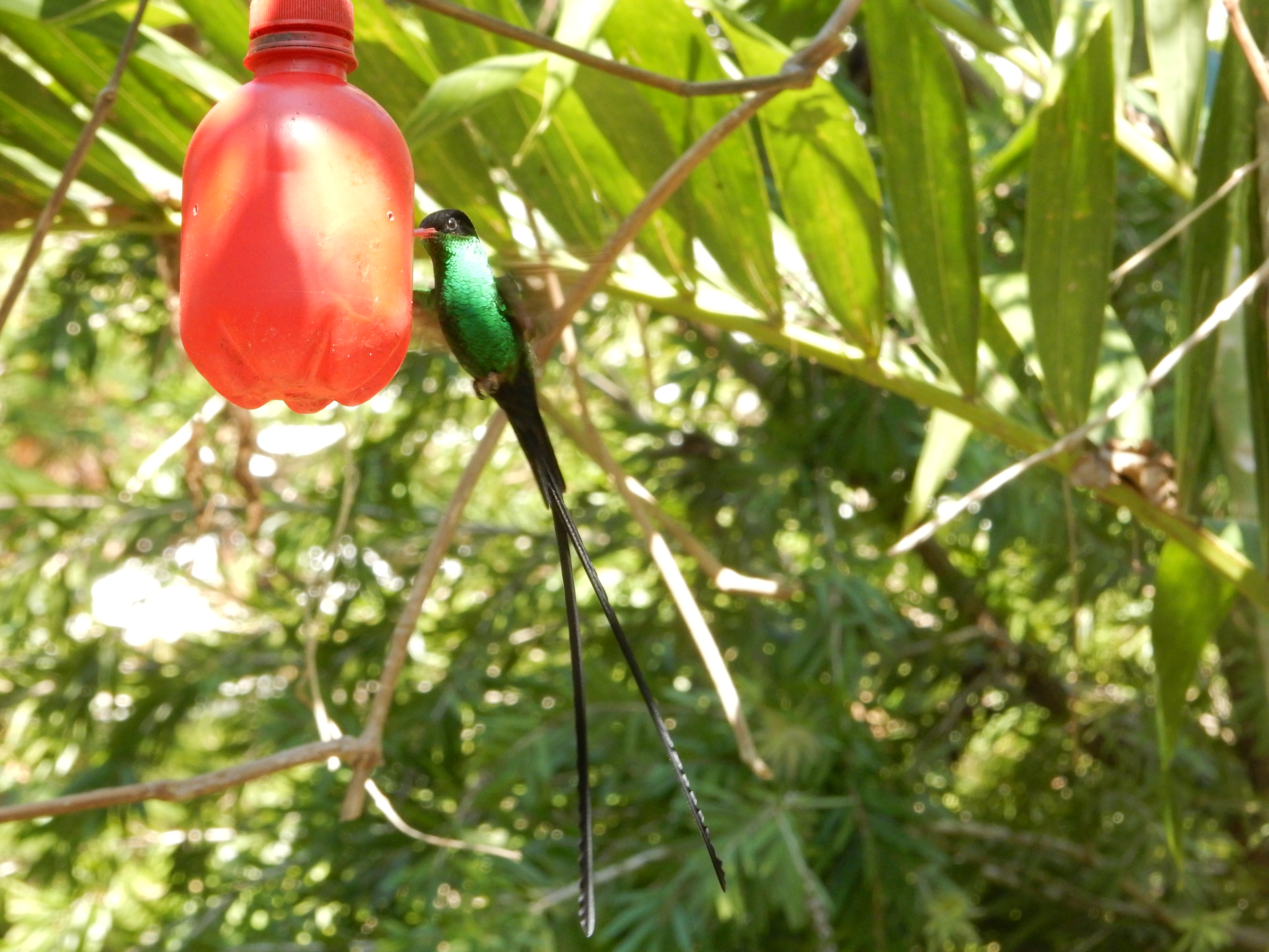 Name:  DSCN8411.JPG
Views: 121
Size:  3.53 MB