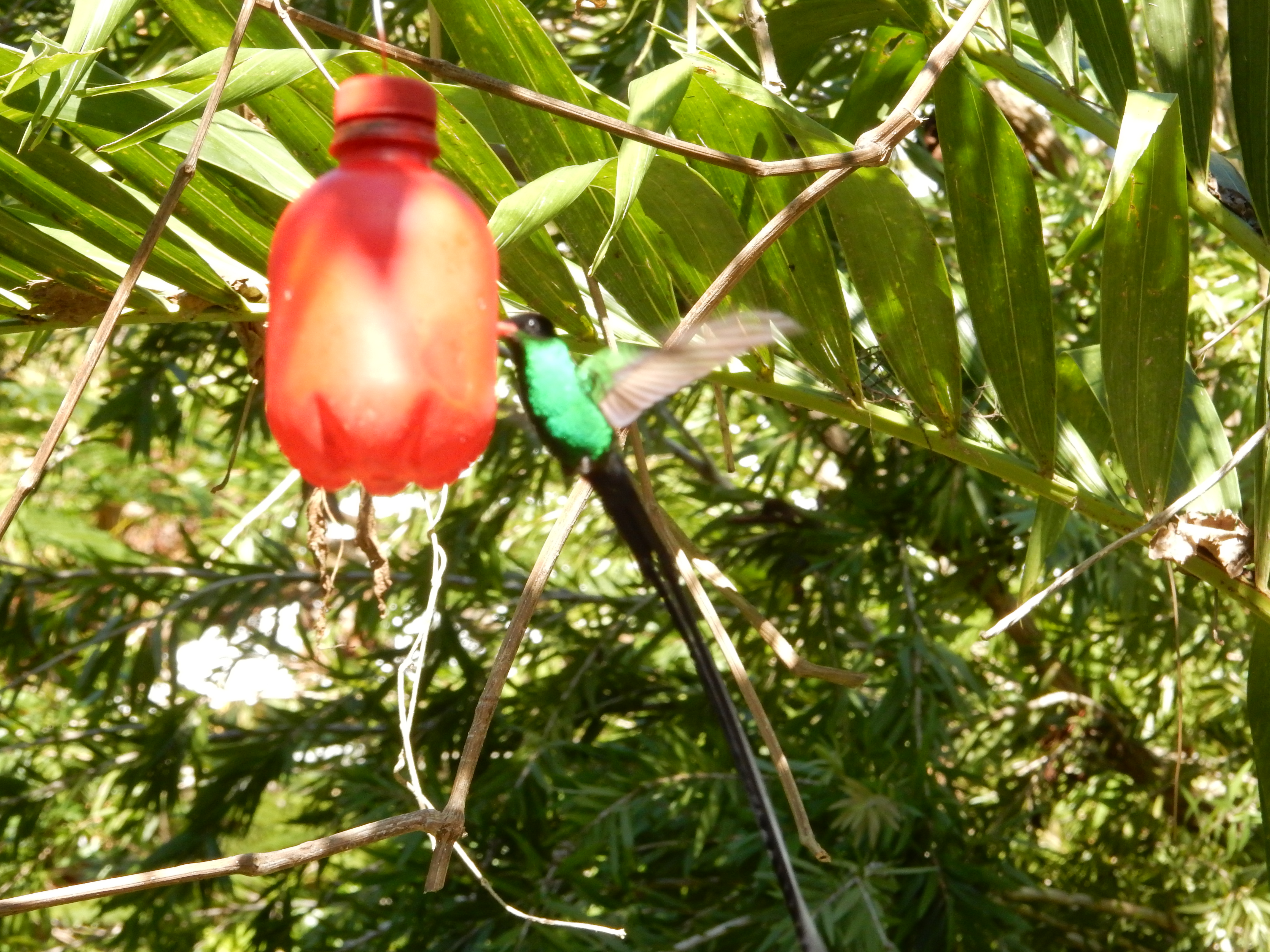 Name:  DSCN8401.JPG
Views: 120
Size:  3.32 MB