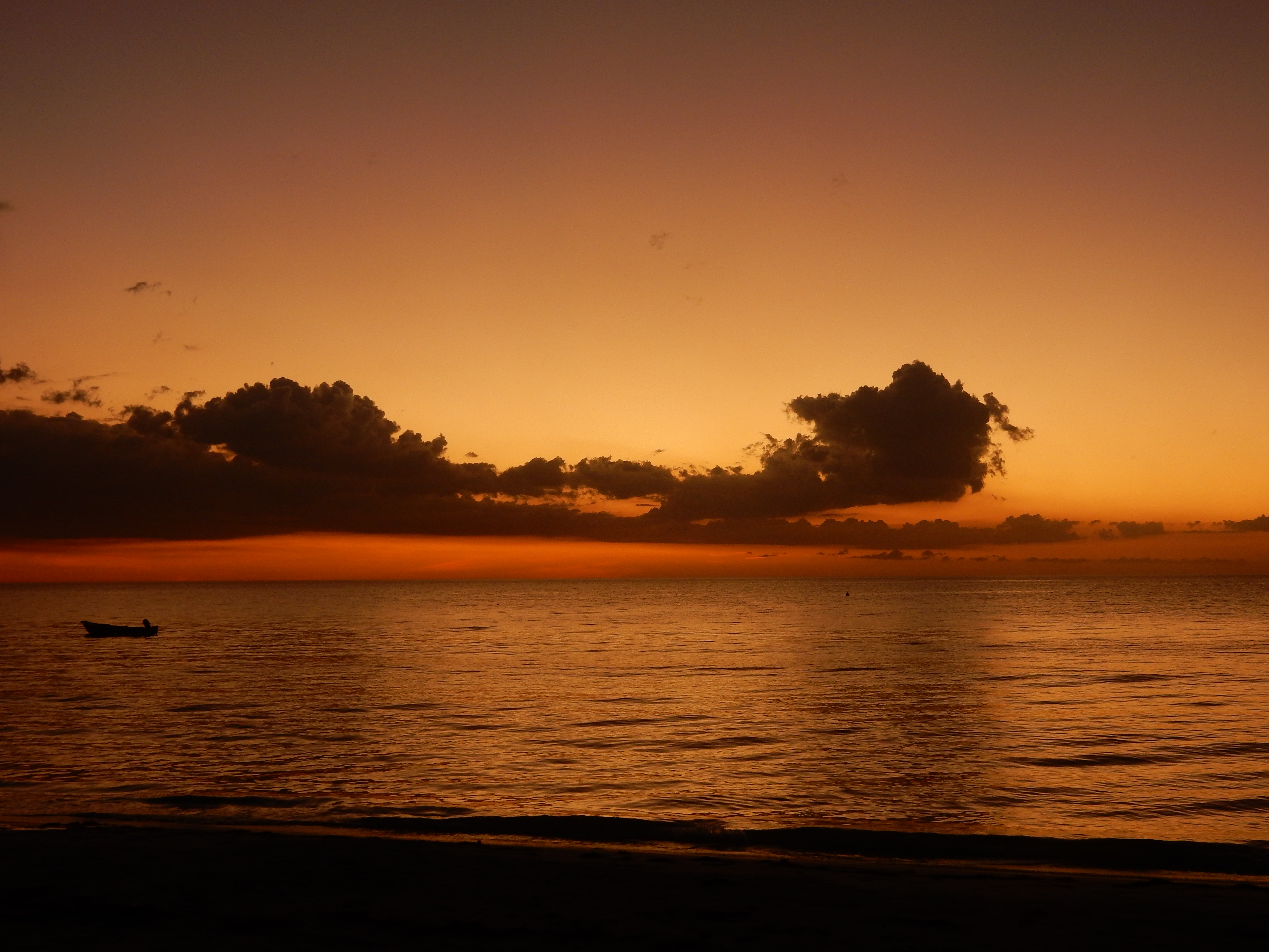 Name:  DSCN8439.JPG
Views: 115
Size:  3.30 MB