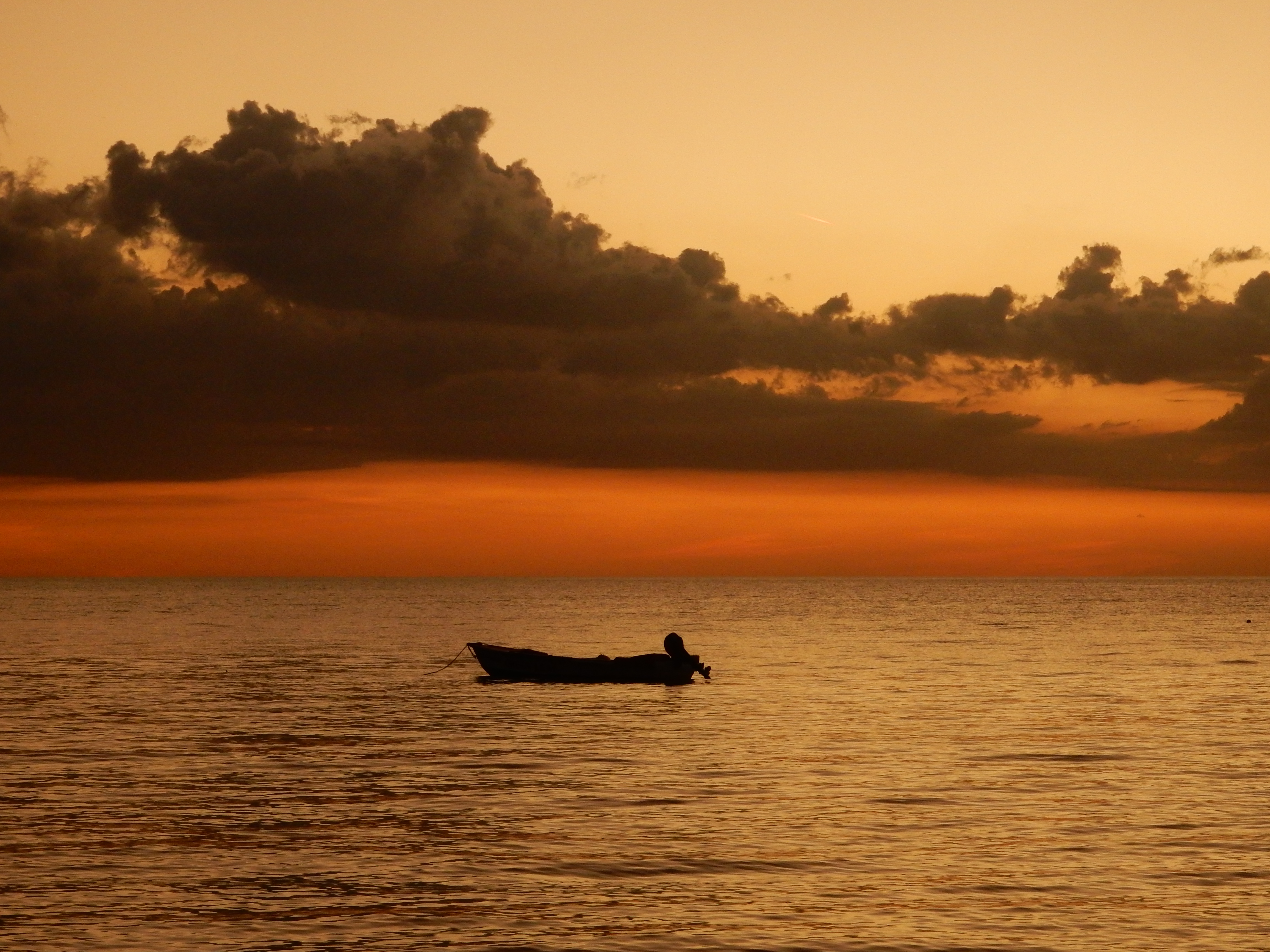 Name:  DSCN8436.JPG
Views: 115
Size:  3.34 MB