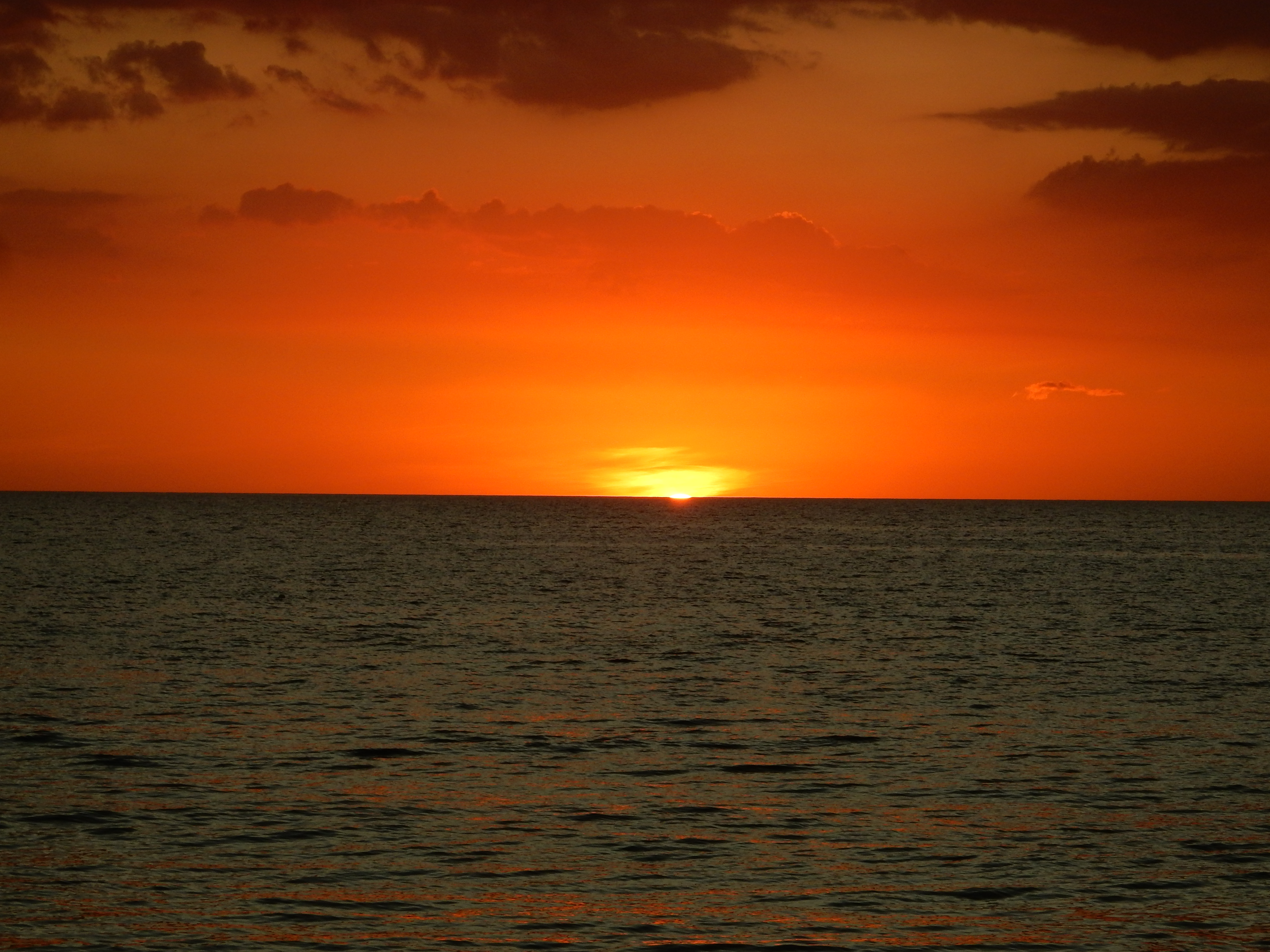 Name:  DSCN8428.JPG
Views: 116
Size:  3.50 MB